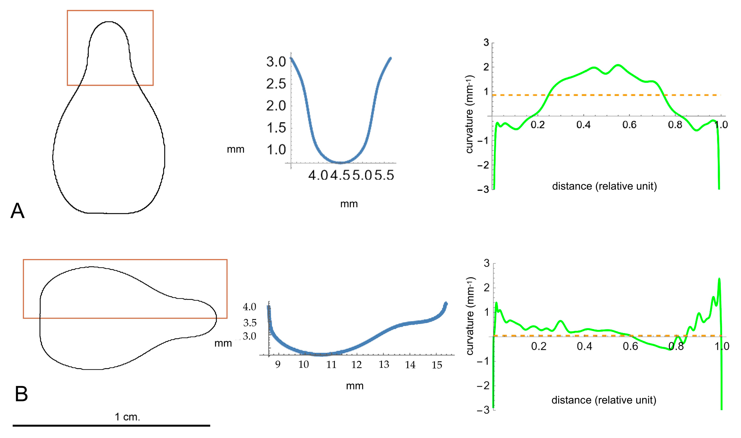 Plants 14 02481 g009 Plants 14 02481 g009