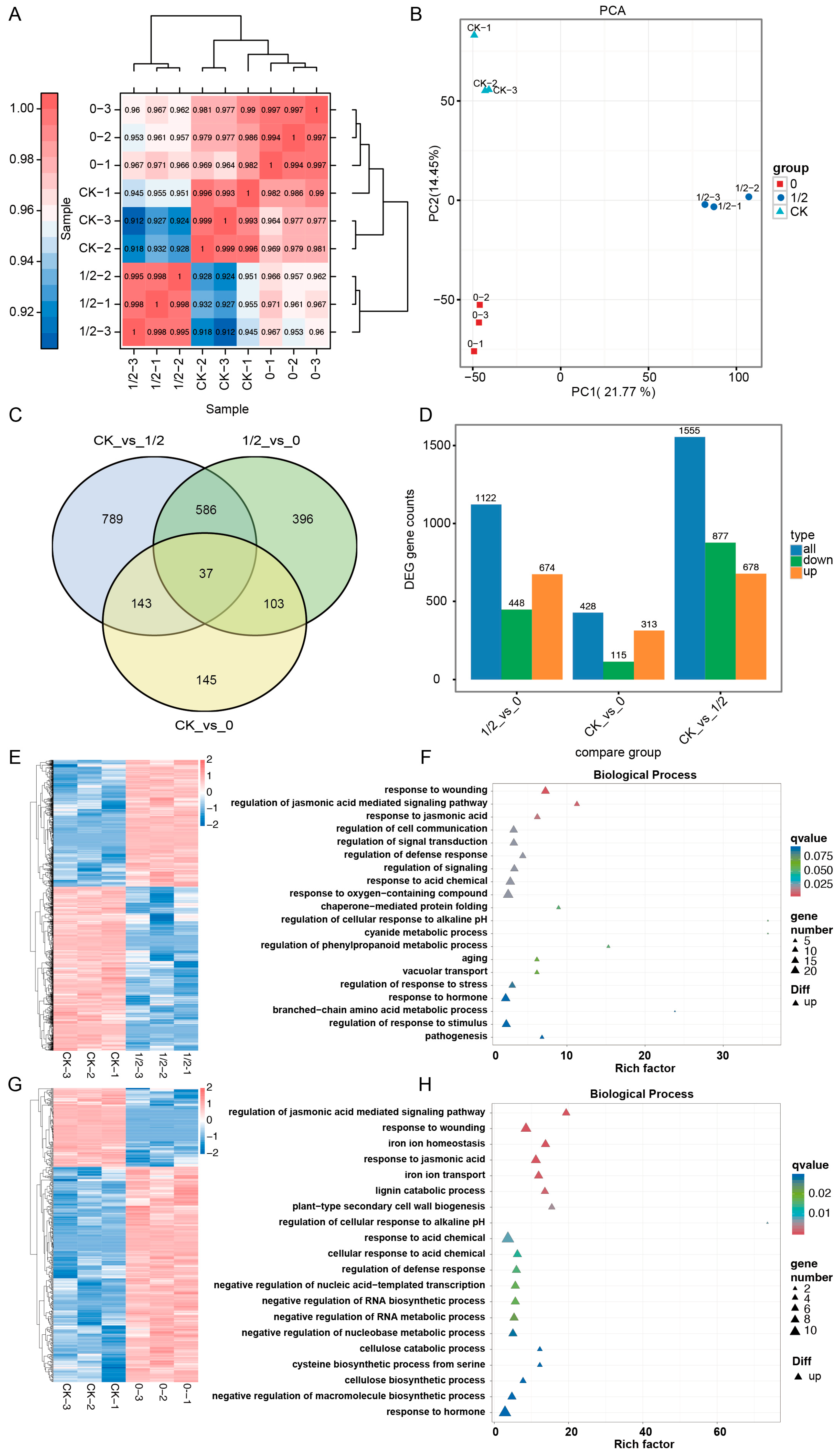 Plants 14 02483 g006