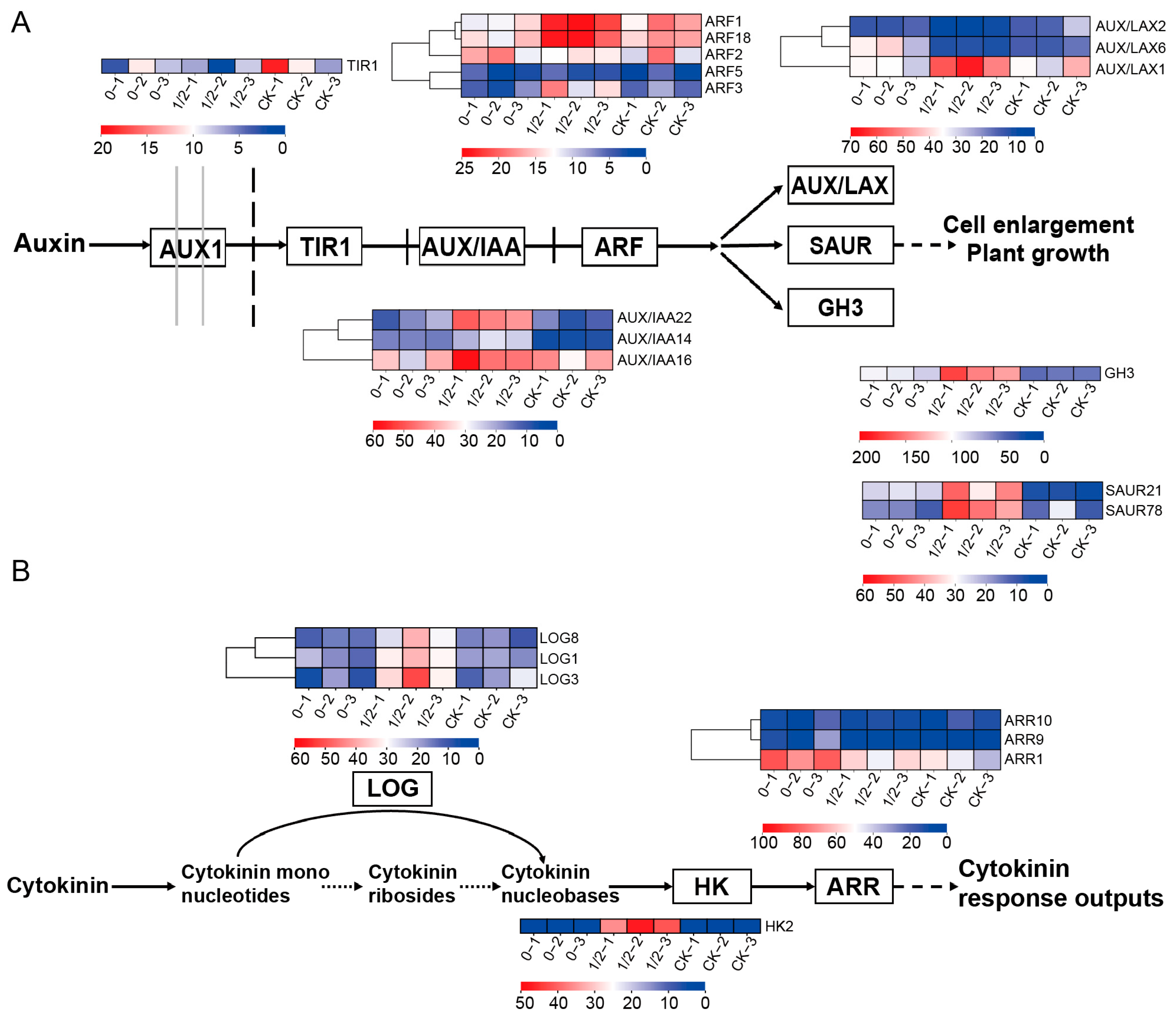 Plants 14 02483 g007