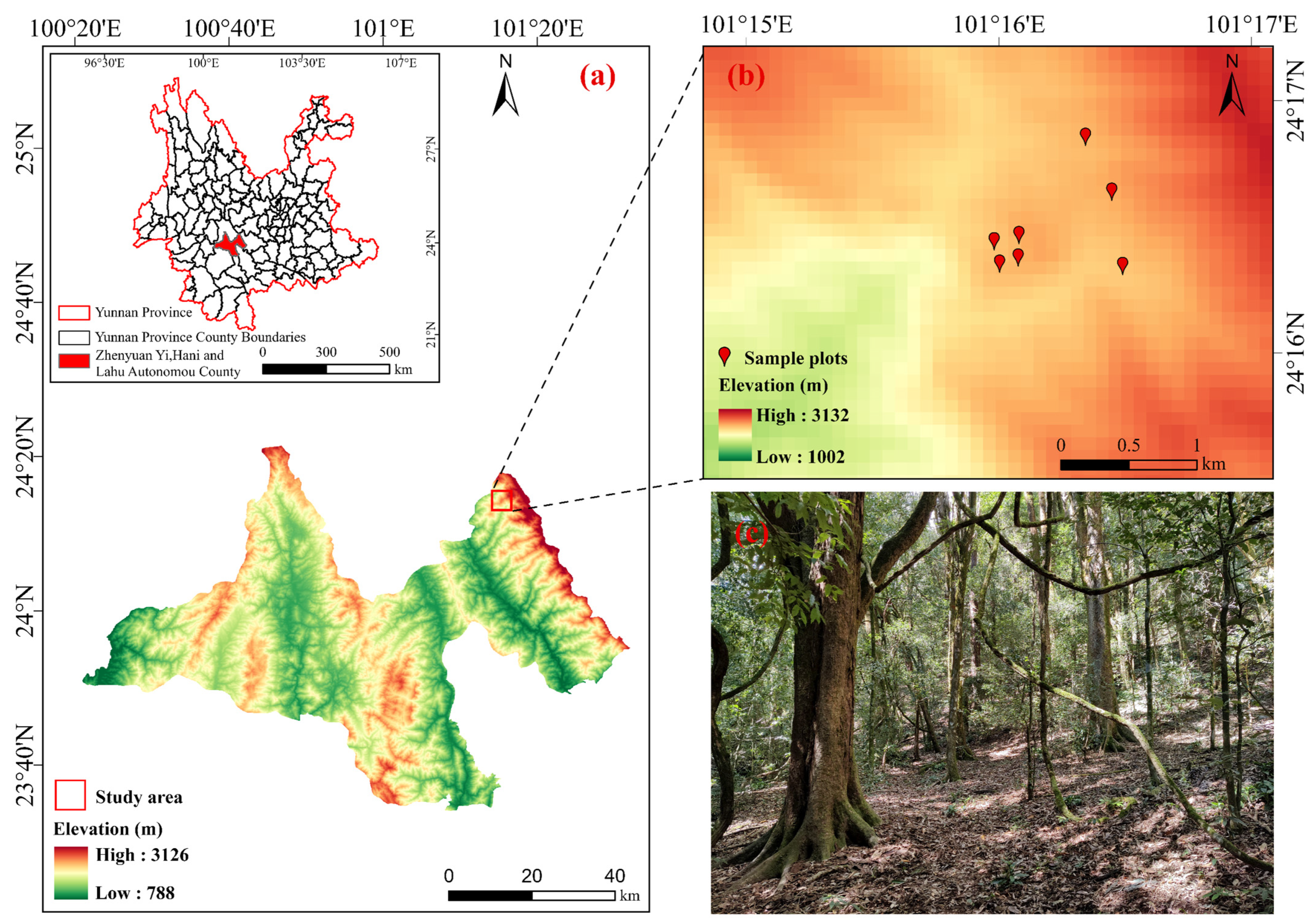 Plants 14 02485 g001 Plants 14 02485 g001