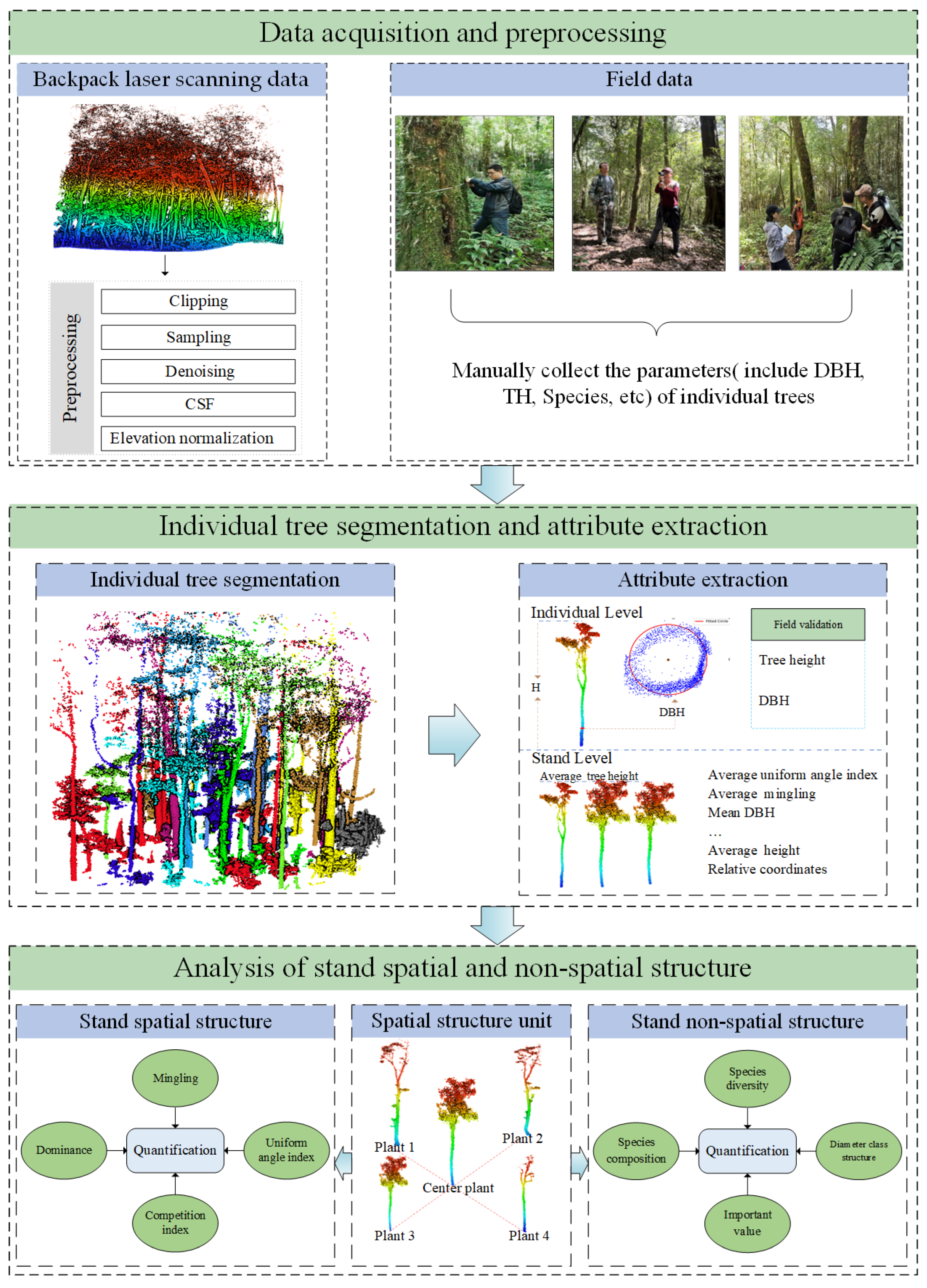 Plants 14 02485 g002 Plants 14 02485 g002