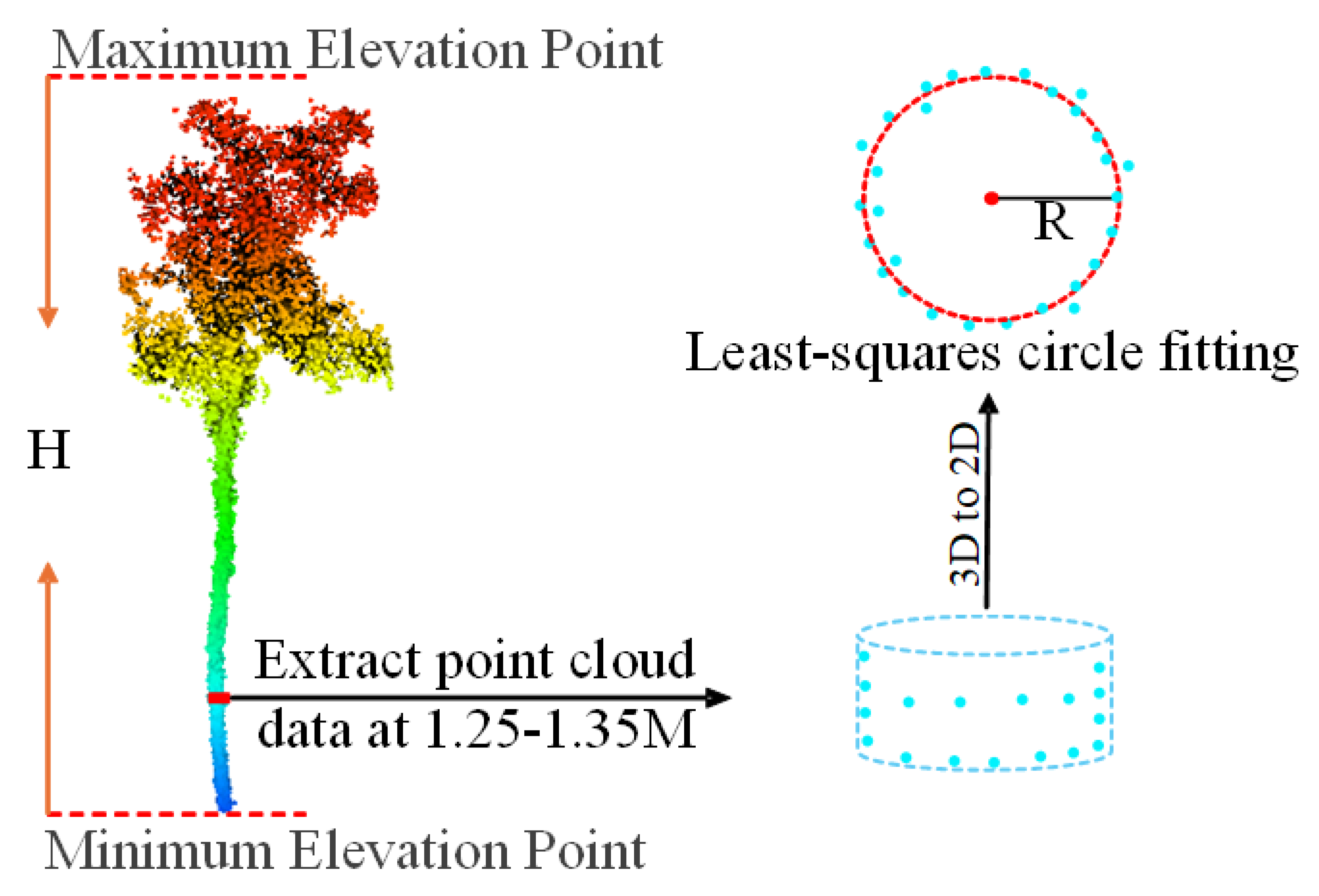 Plants 14 02485 g004 Plants 14 02485 g004