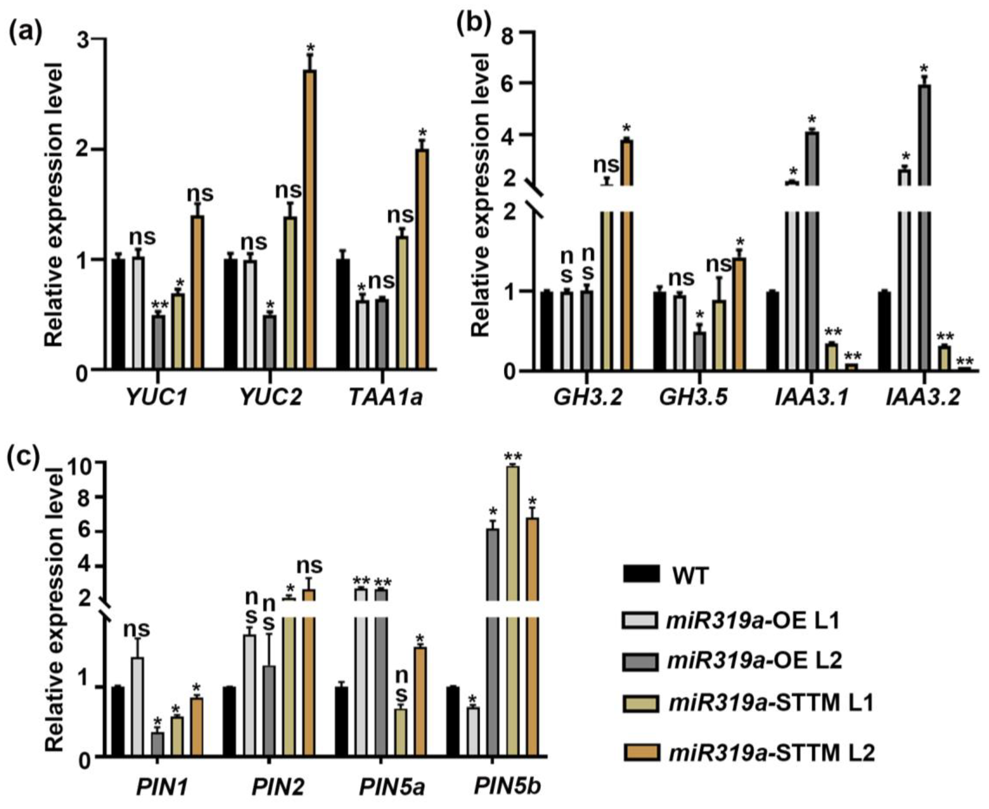 Plants 14 02494 g003 Plants 14 02494 g003