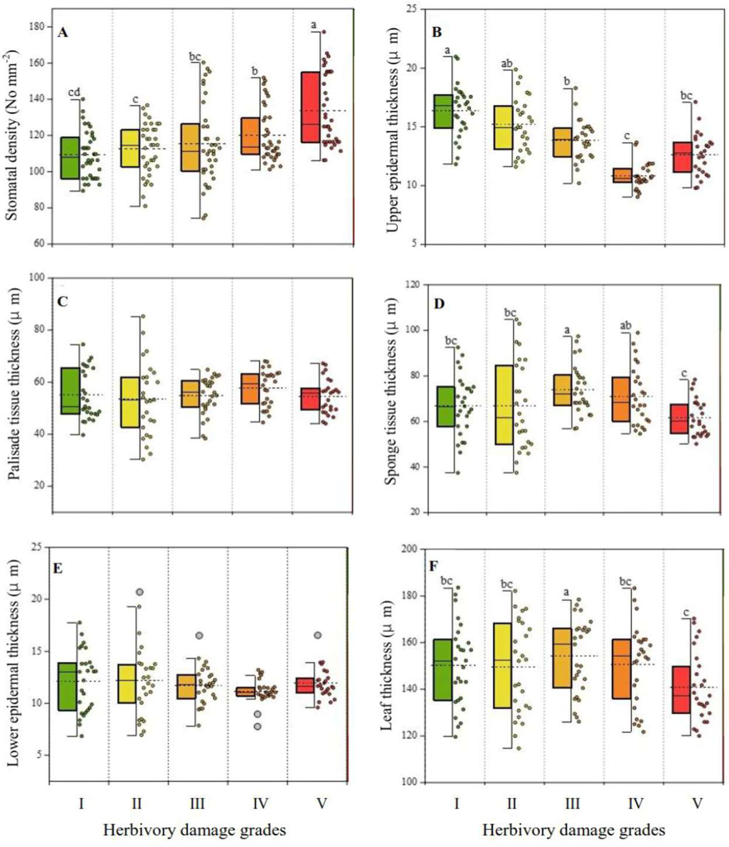Plants 14 02495 g002