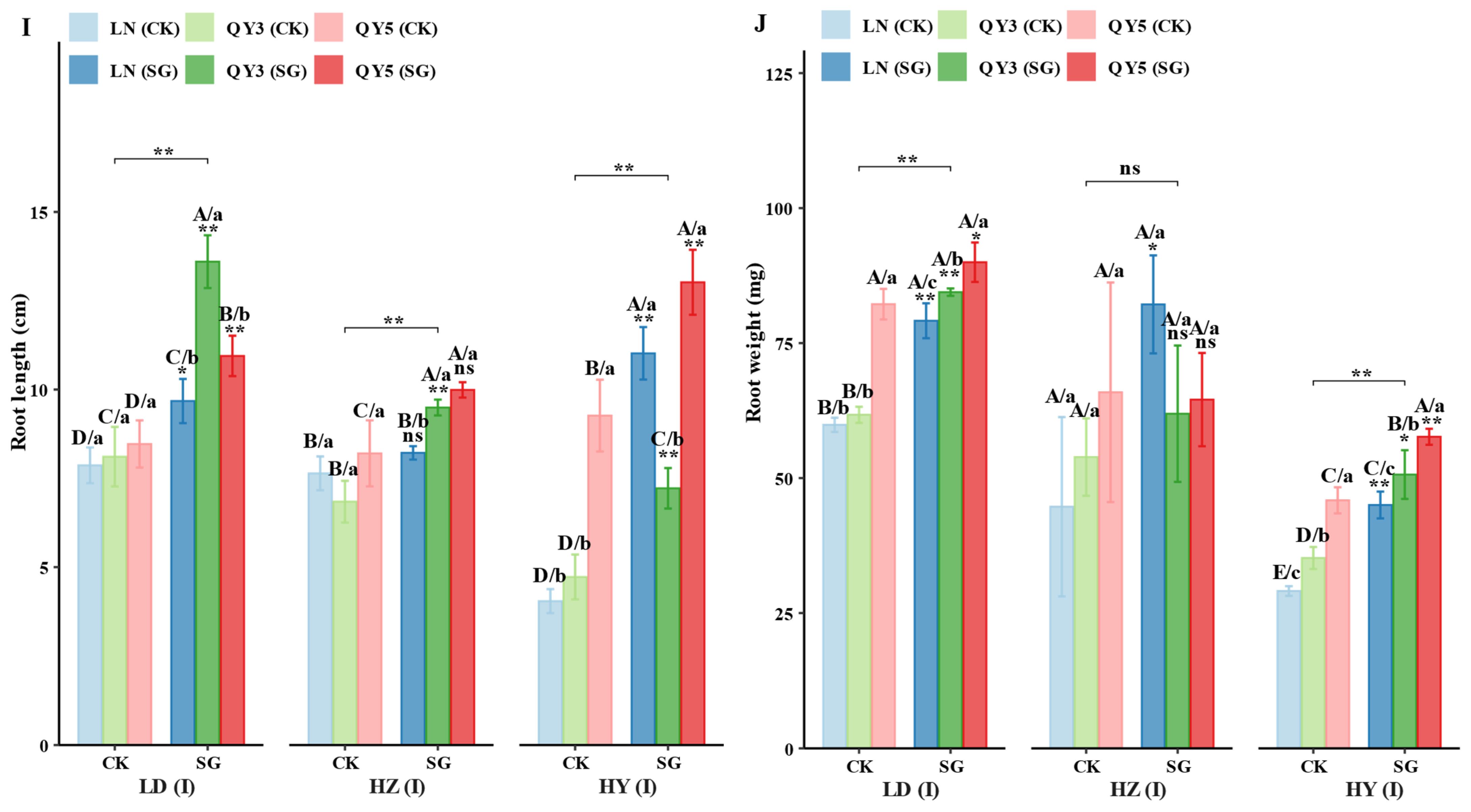 Plants 14 02500 g004c