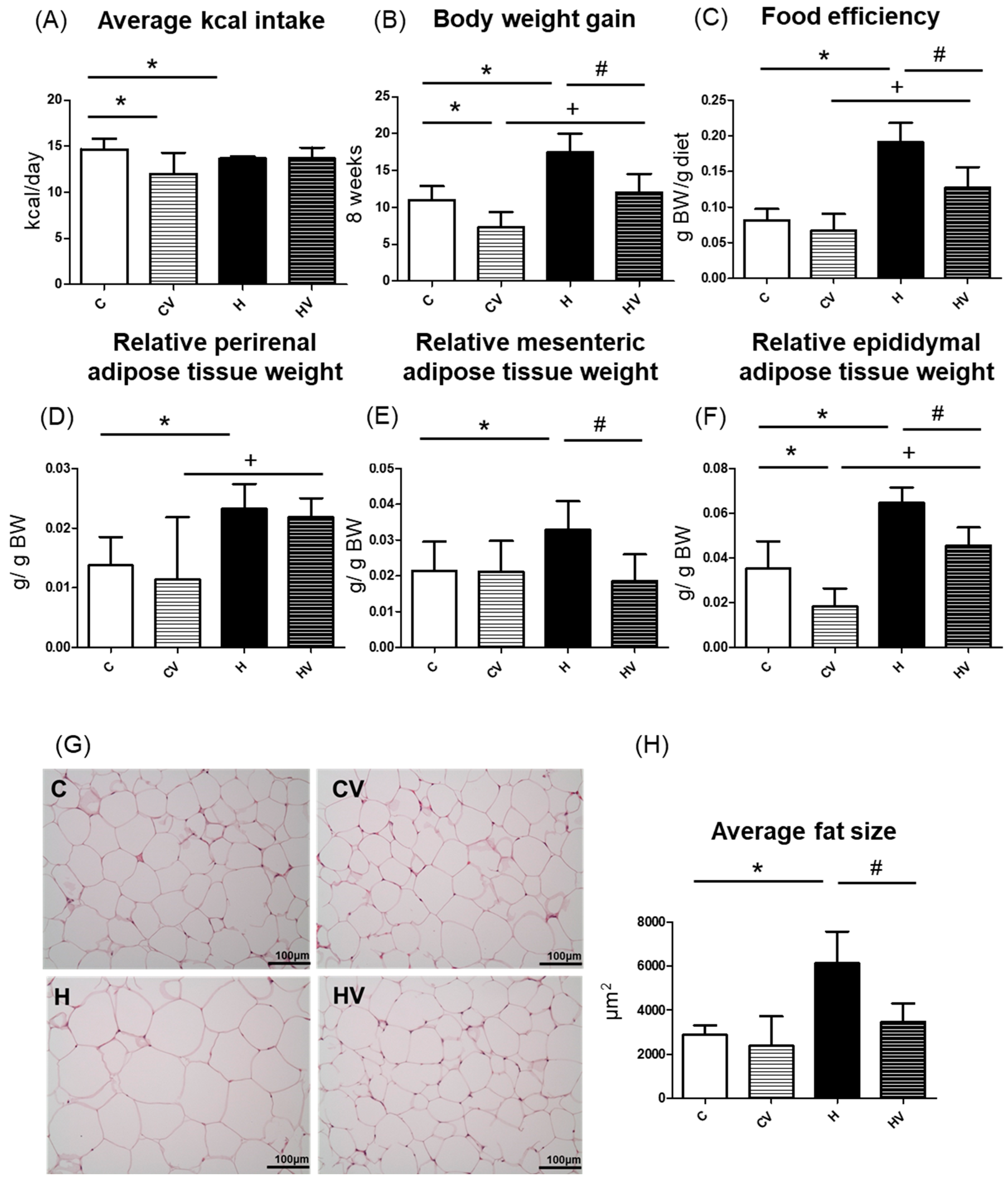 Plants 14 02510 g001