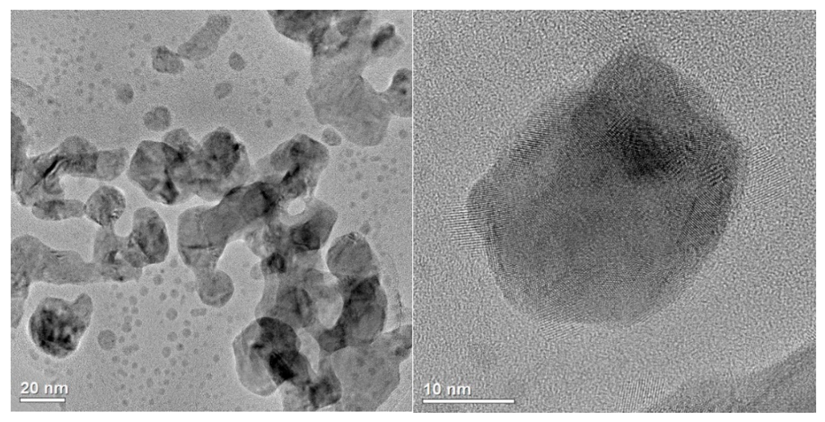 Plants 14 02512 g001