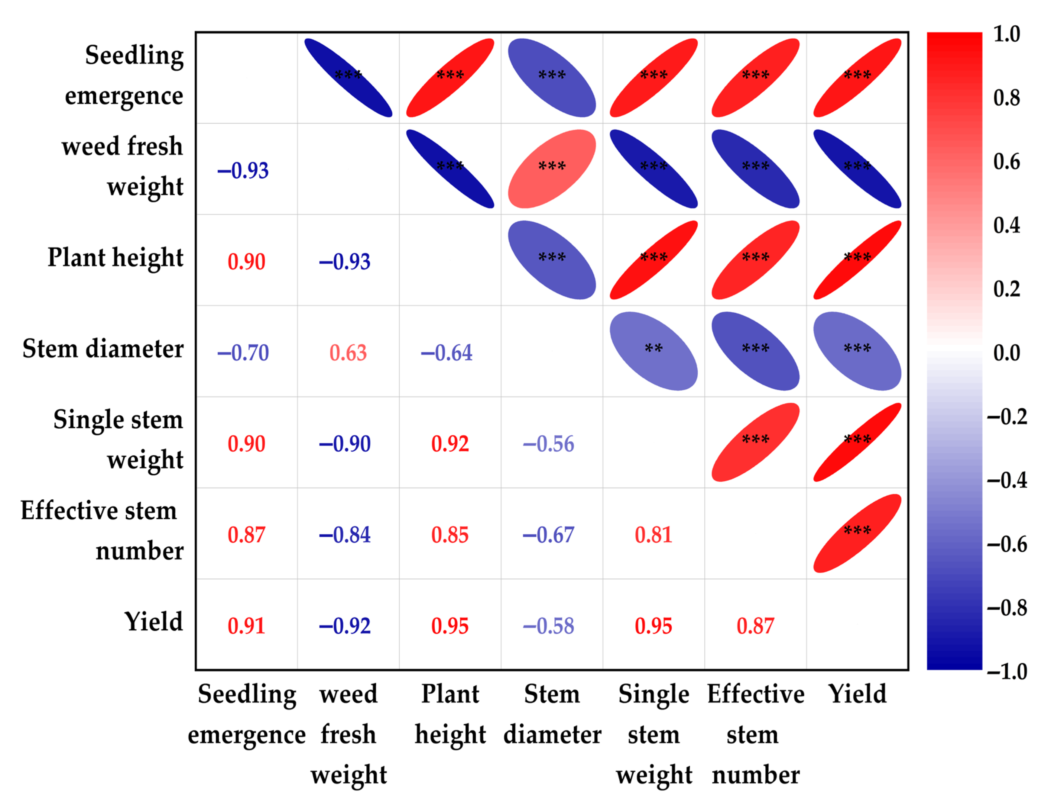 Plants 14 02521 g004 Plants 14 02521 g004