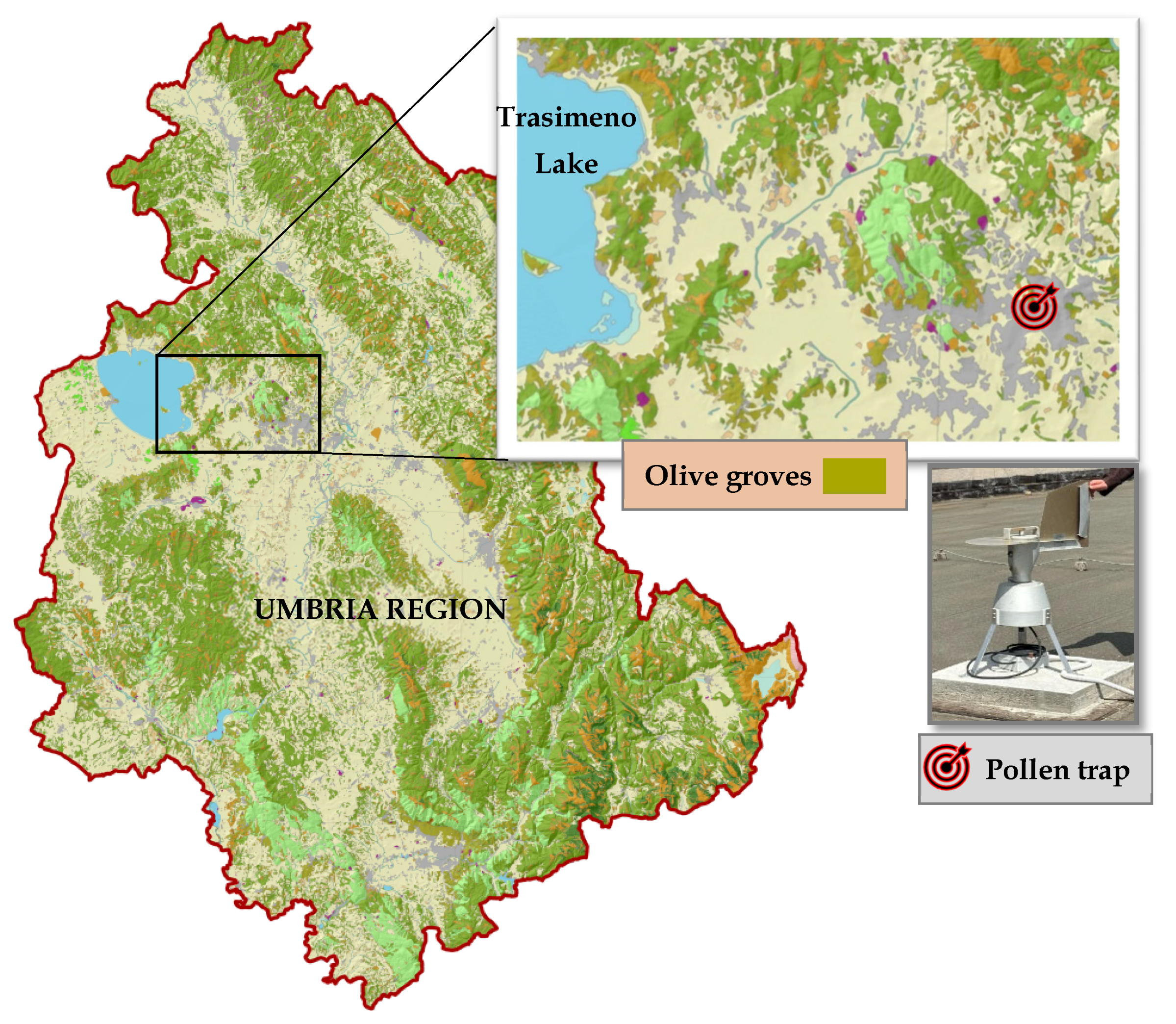 Plants 14 02522 g004 Plants 14 02522 g004