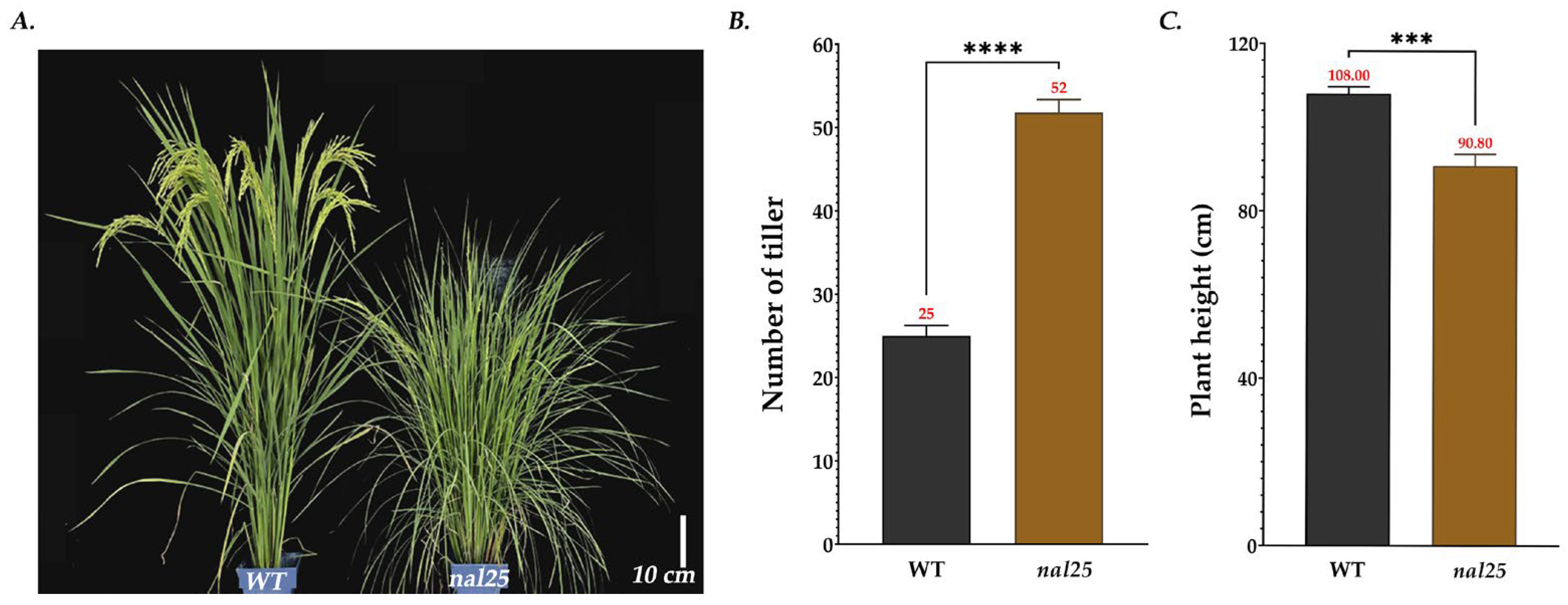 Plants 14 02528 g002