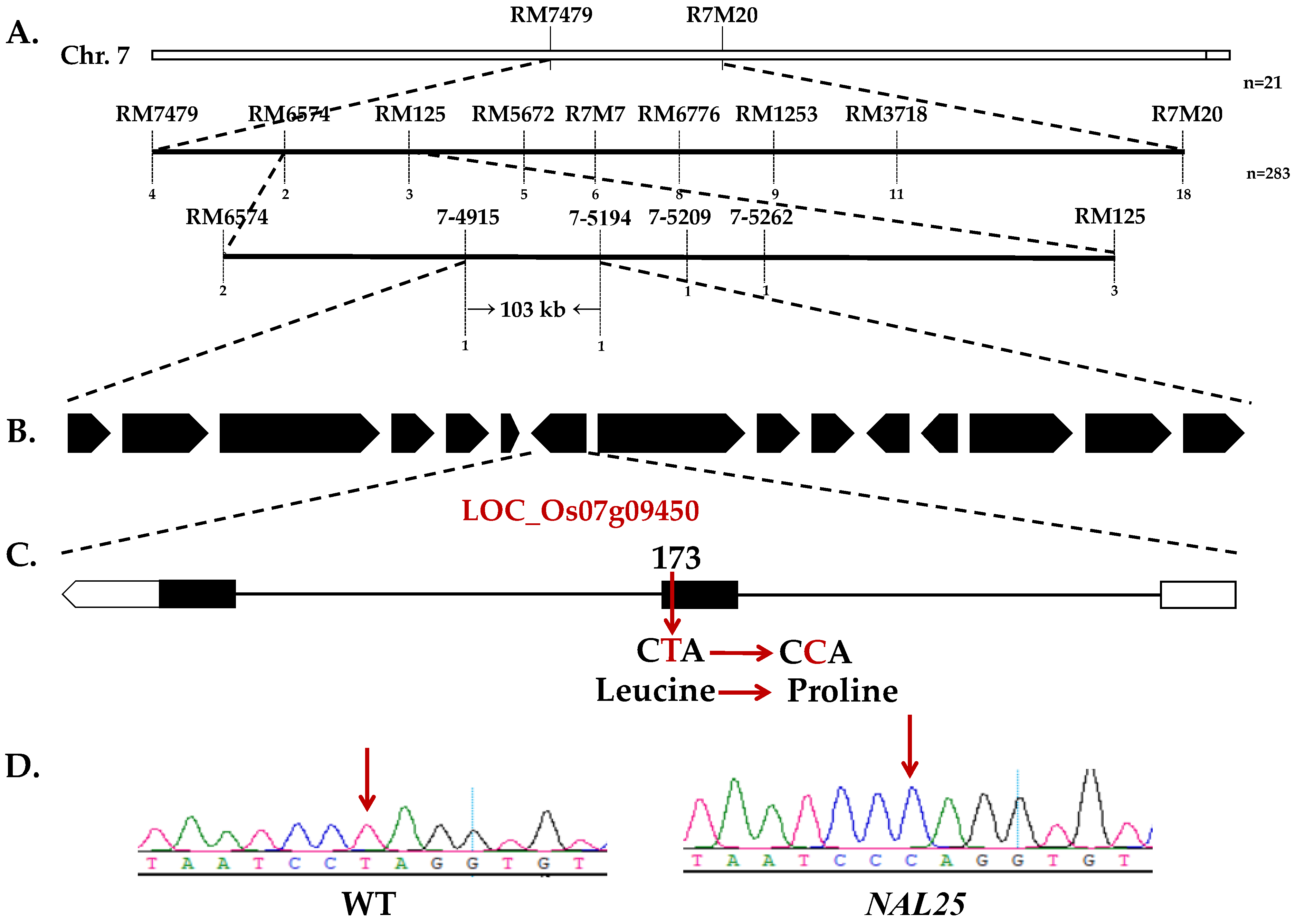 Plants 14 02528 g004