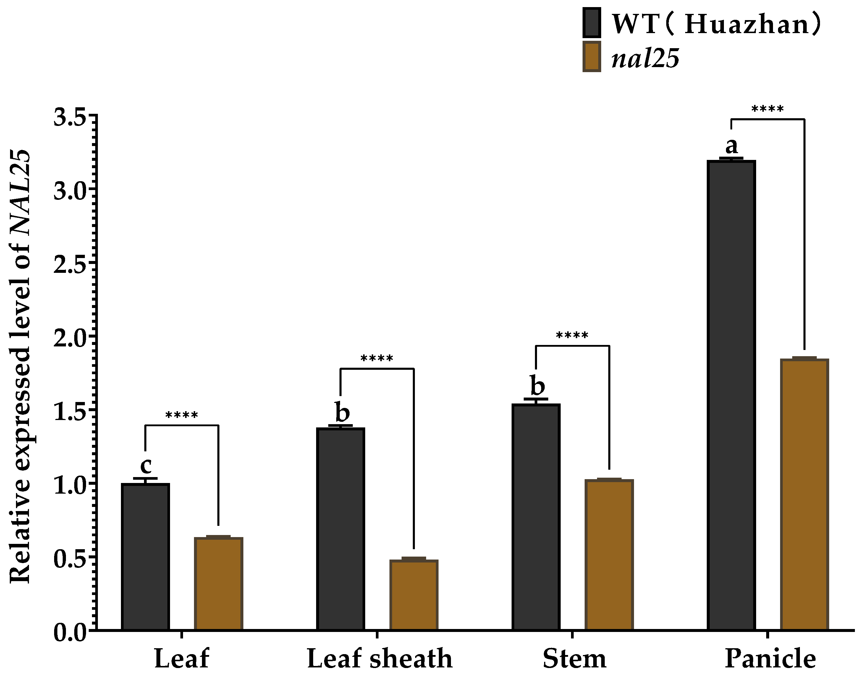 Plants 14 02528 g005