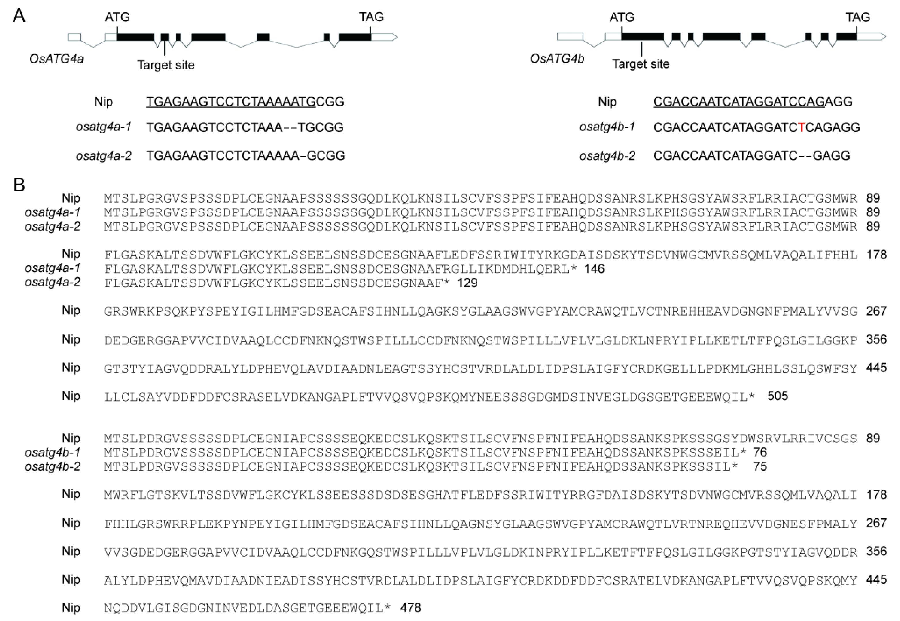 Plants 14 02530 g003 Plants 14 02530 g003