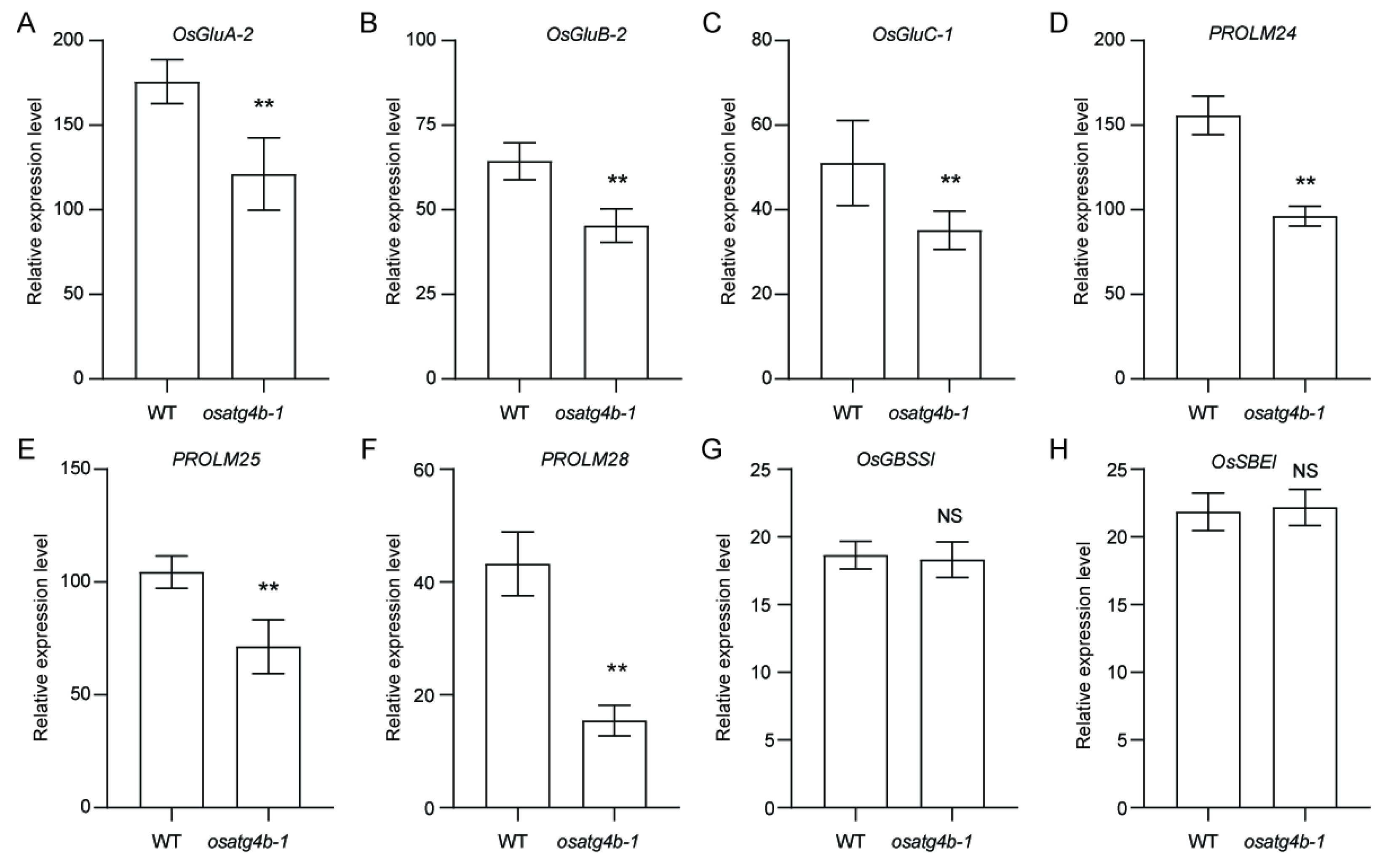 Plants 14 02530 g008 Plants 14 02530 g008