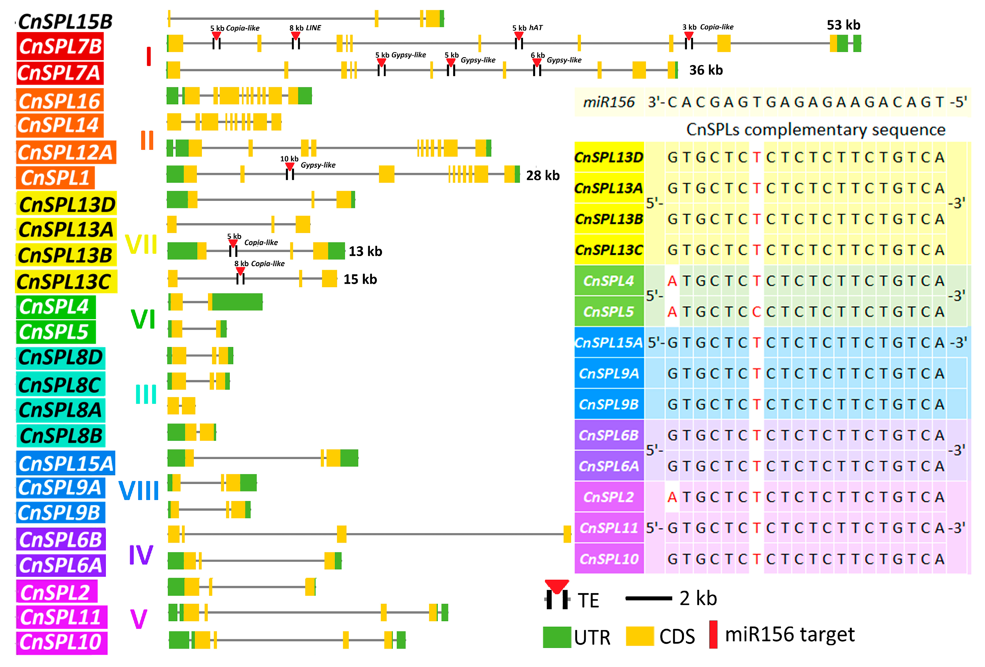 Plants 14 02532 g002