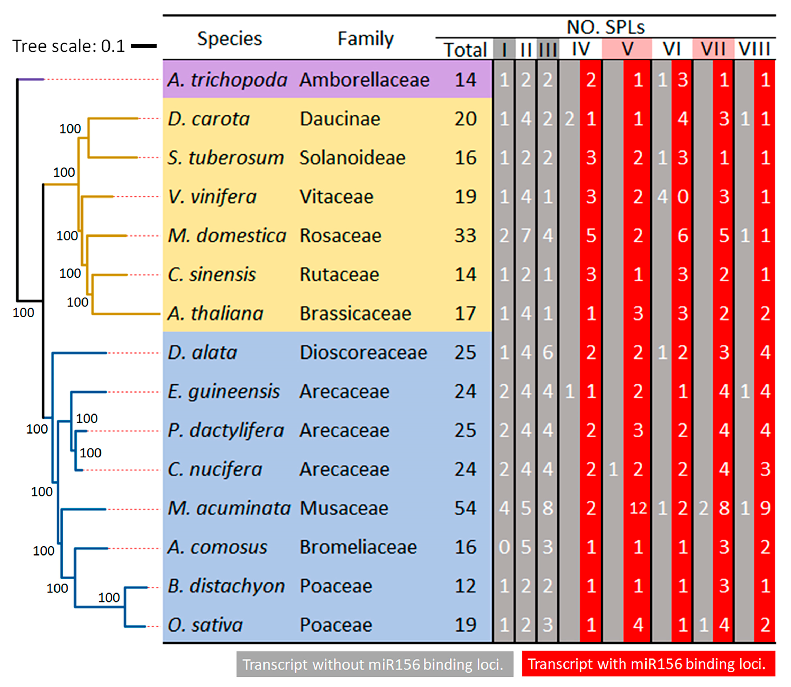 Plants 14 02532 g003