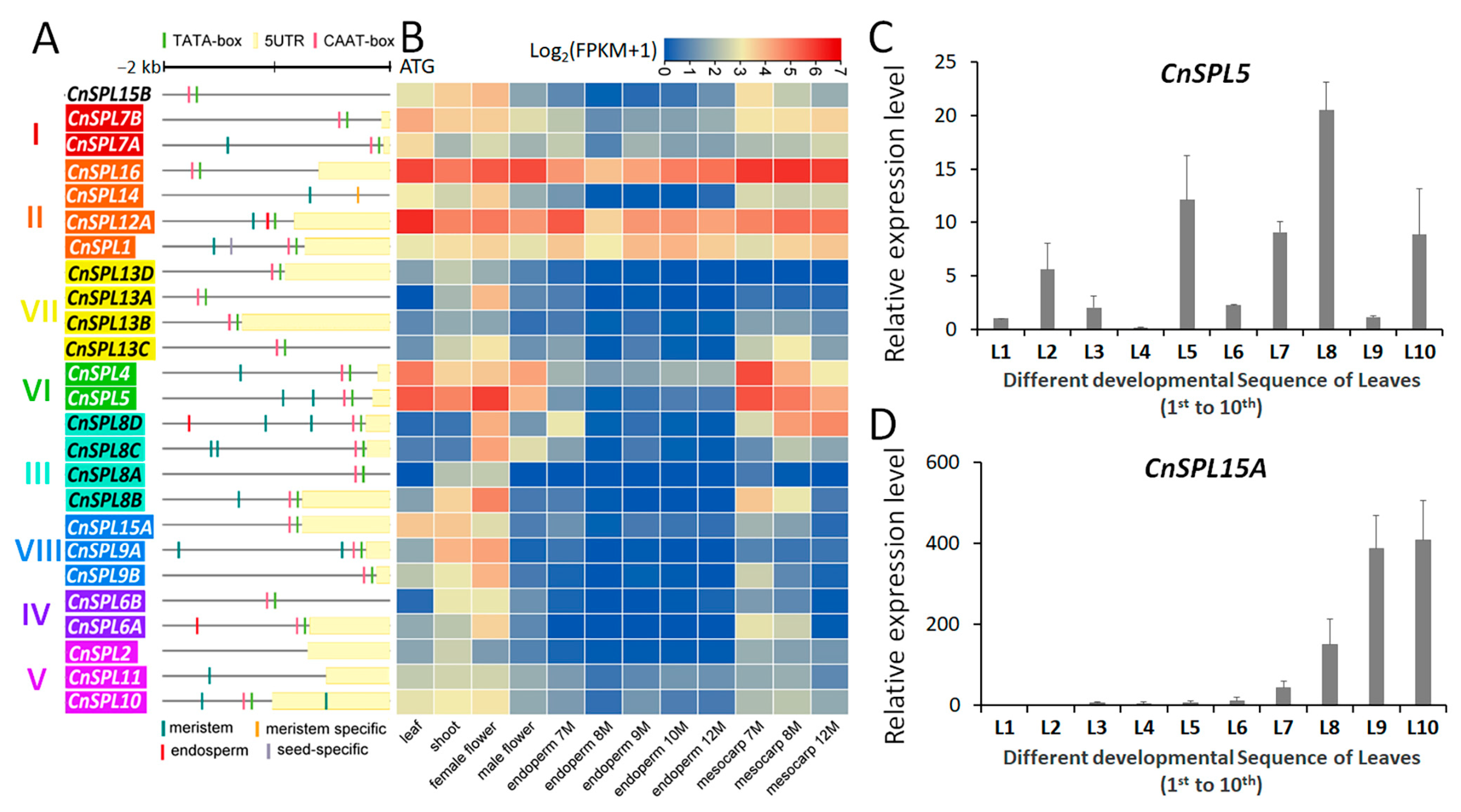 Plants 14 02532 g004