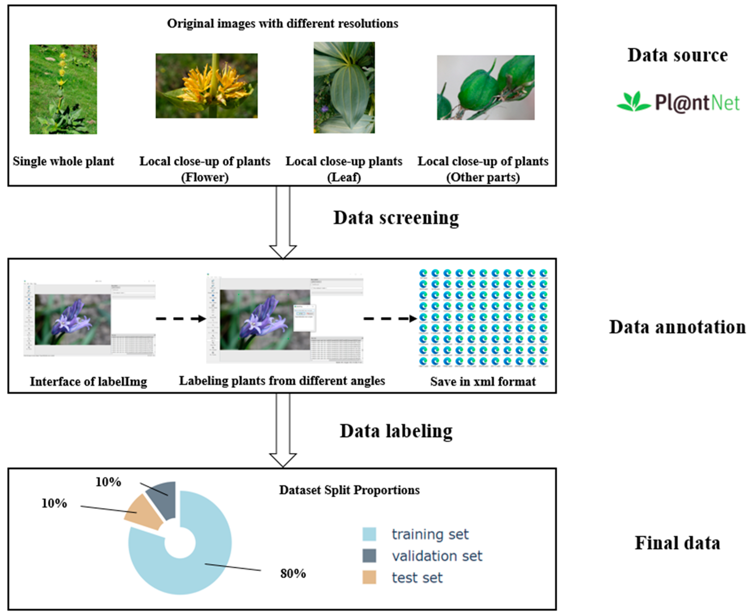 Plants 14 02533 g001