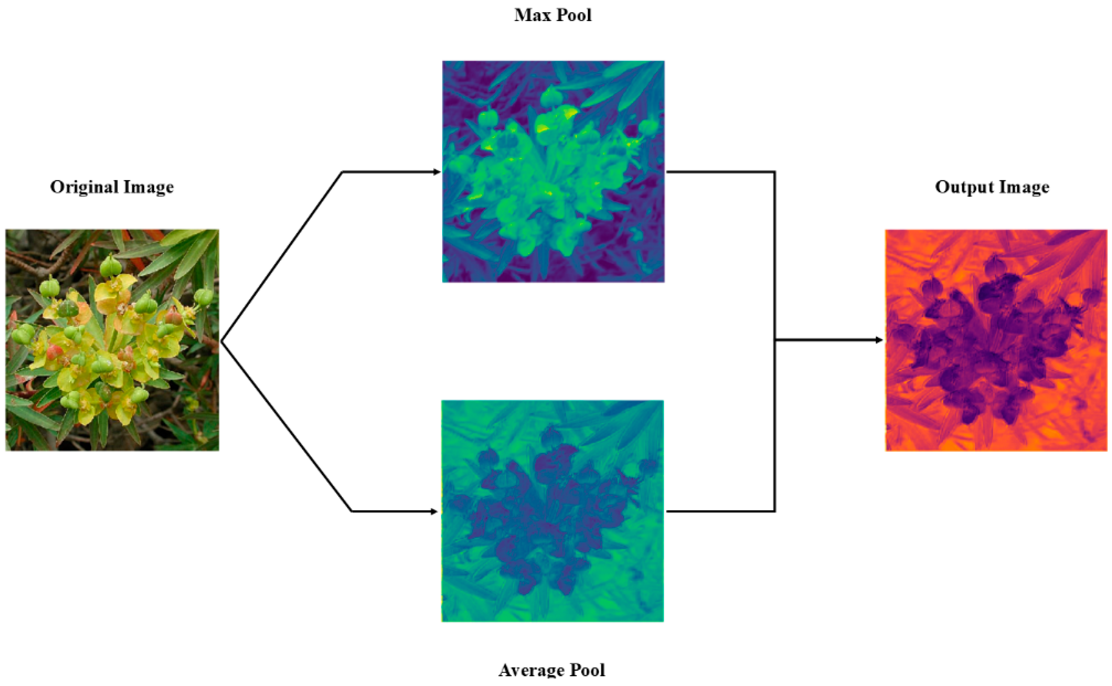 Plants 14 02533 g010