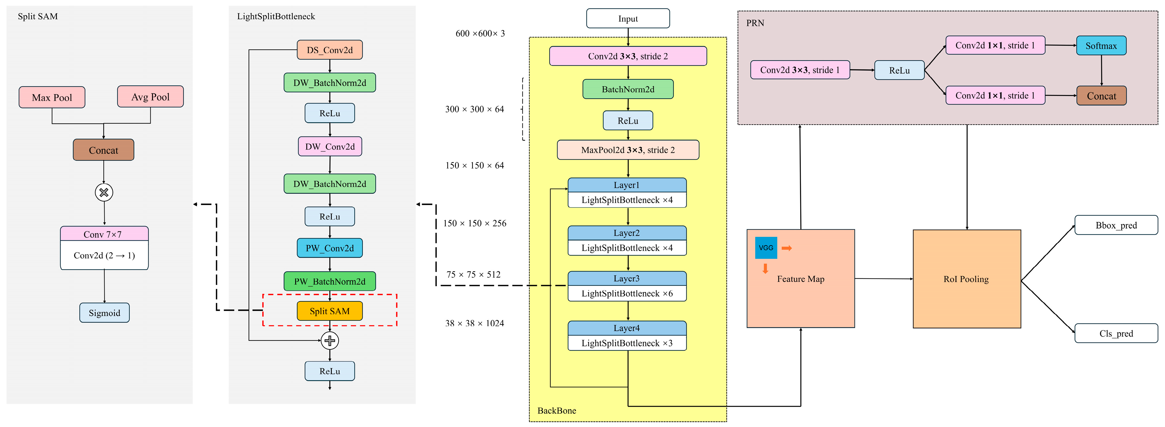 Plants 14 02533 g011