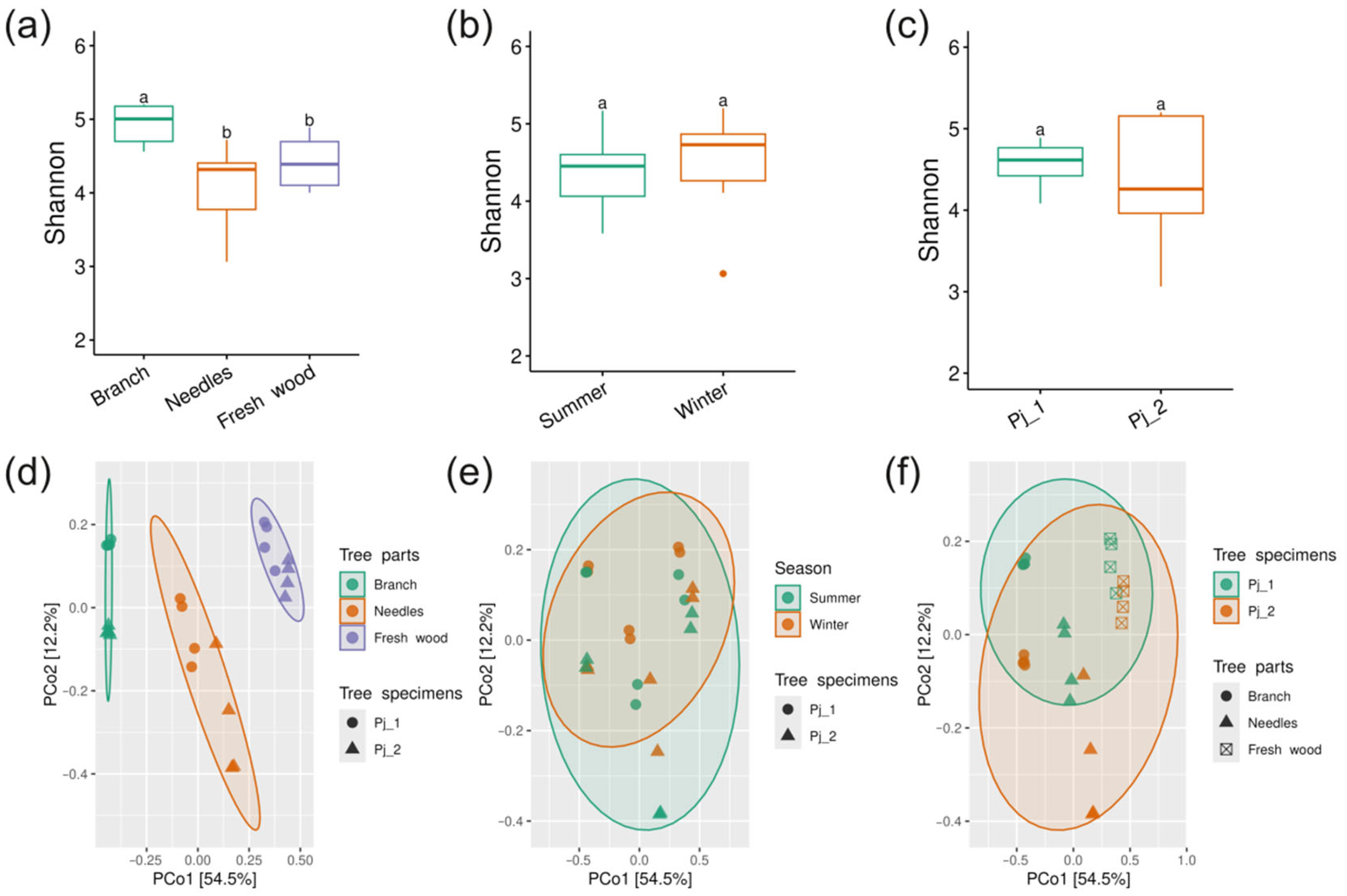 Plants 14 02534 g001