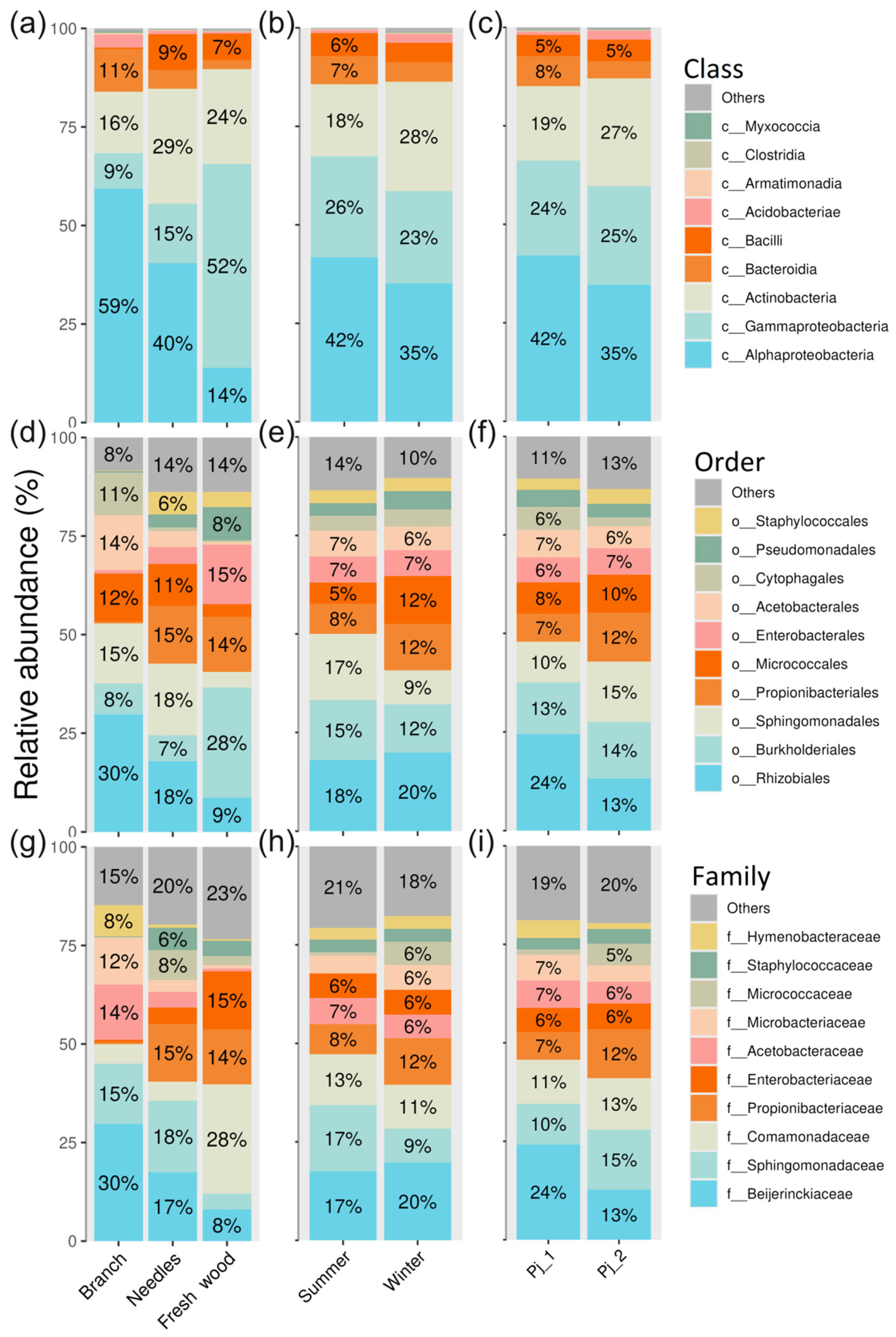 Plants 14 02534 g002