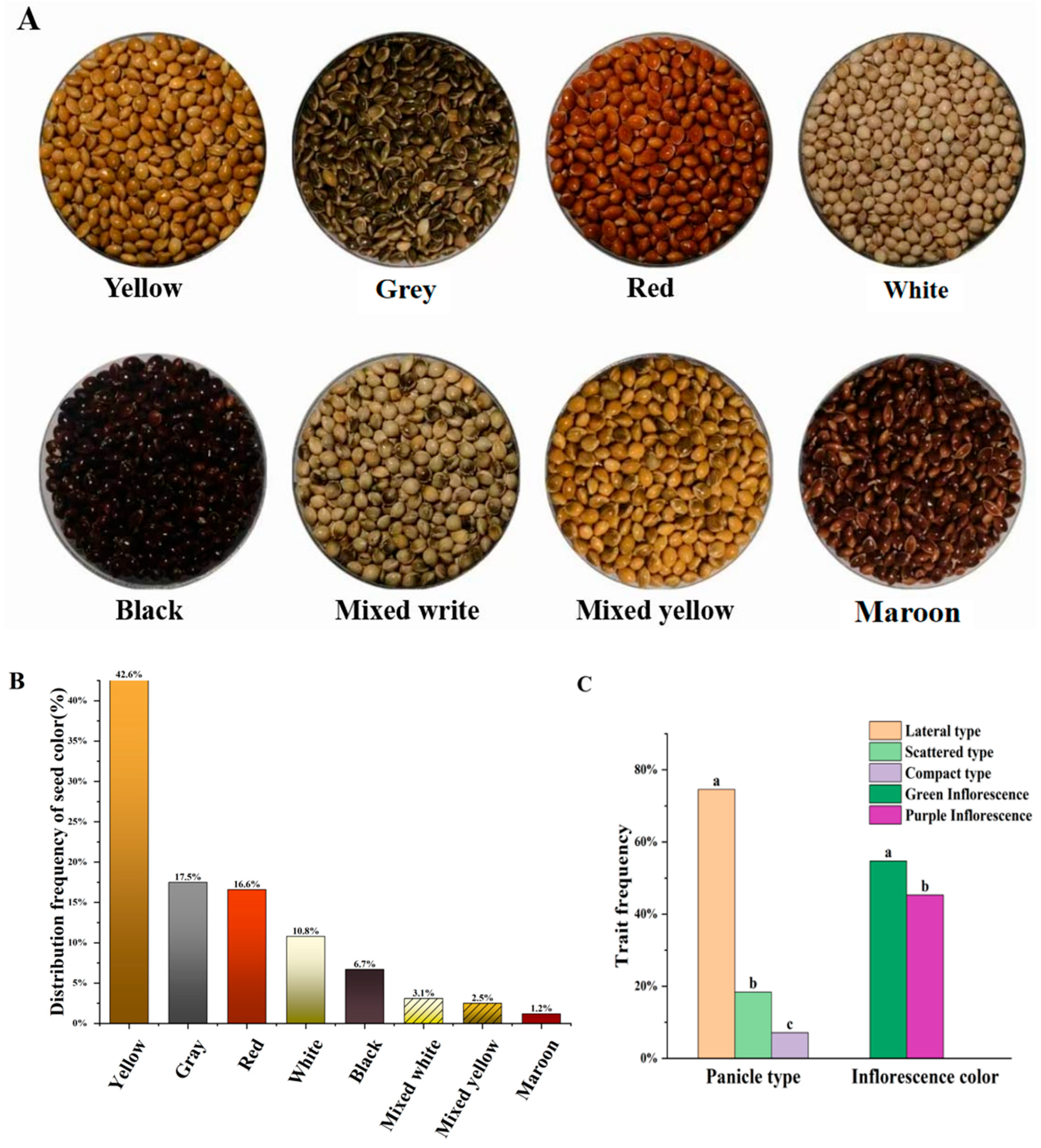 Plants 14 02536 g001 Plants 14 02536 g001