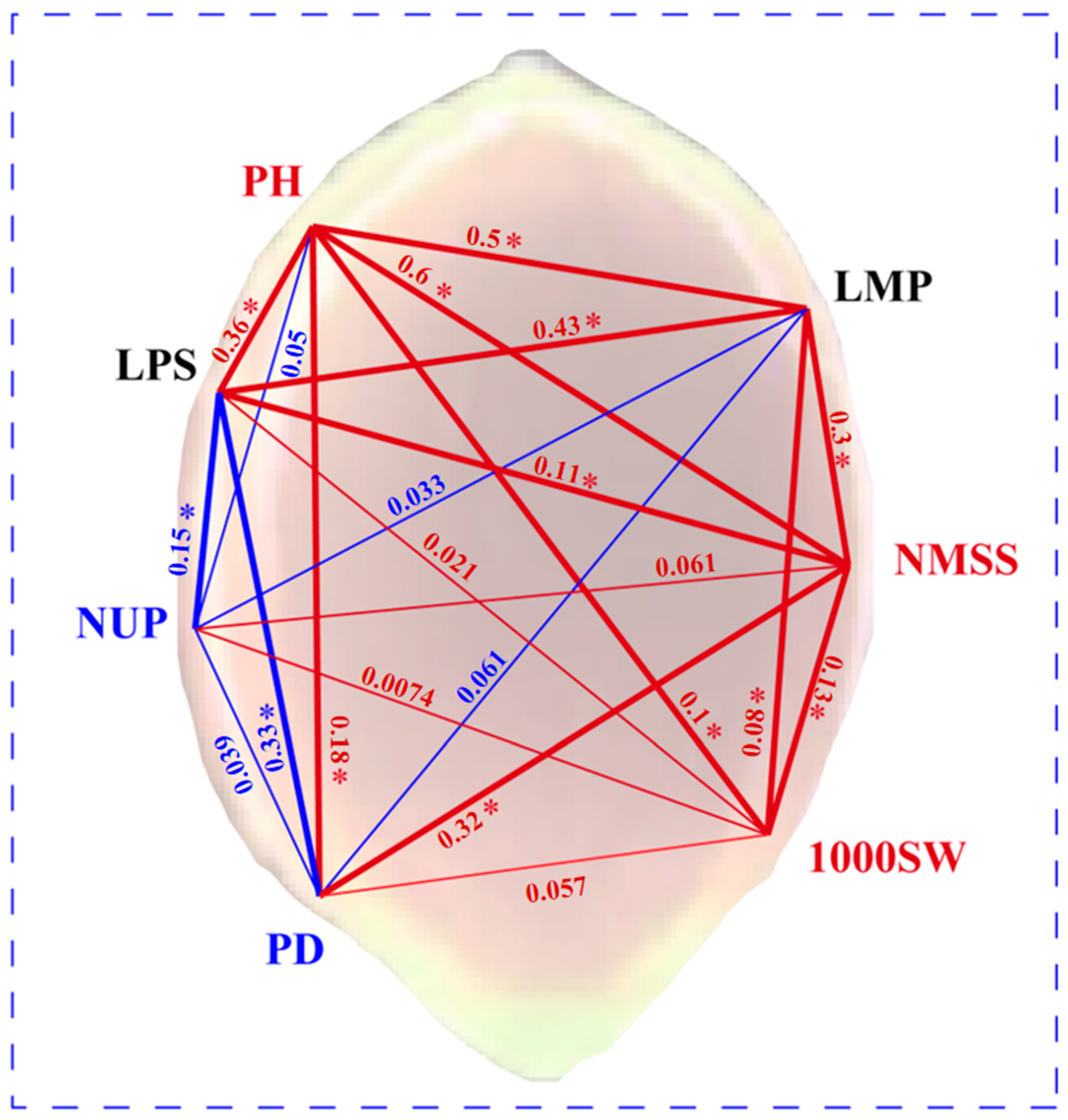 Plants 14 02536 g006 Plants 14 02536 g006