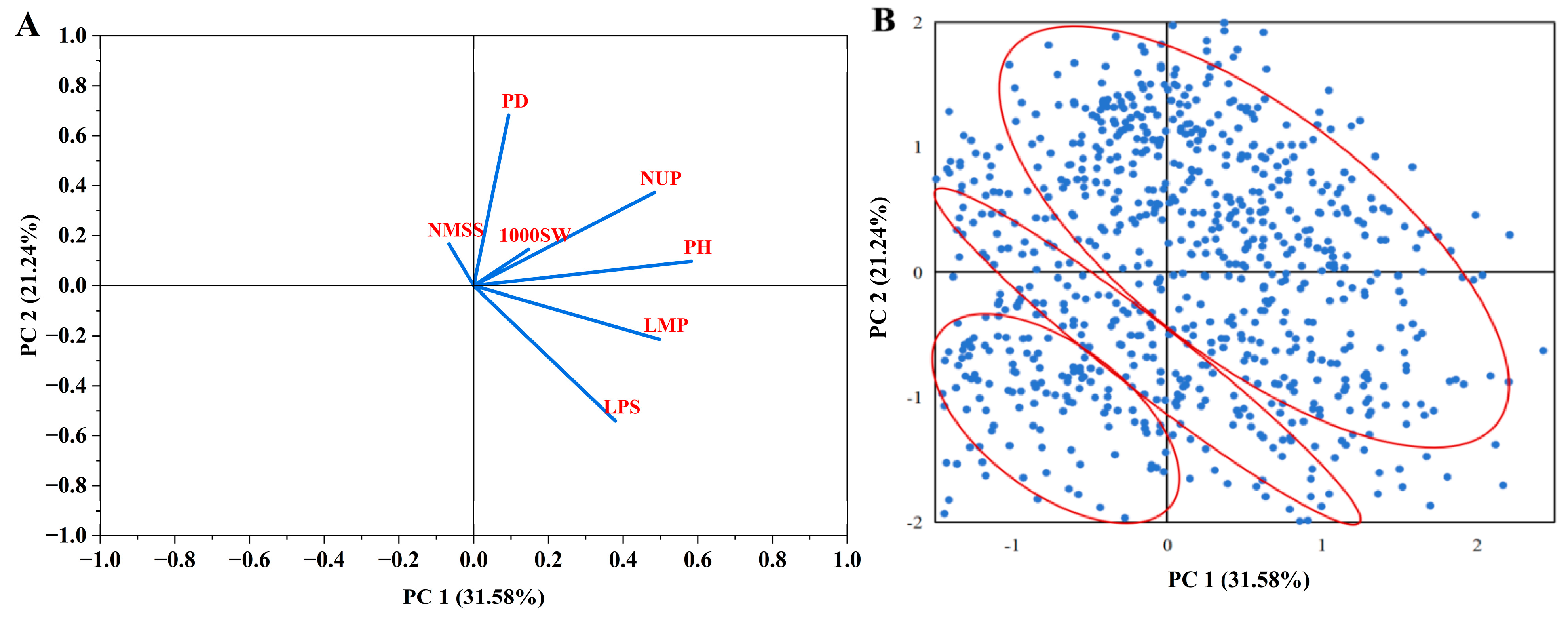 Plants 14 02536 g007 Plants 14 02536 g007