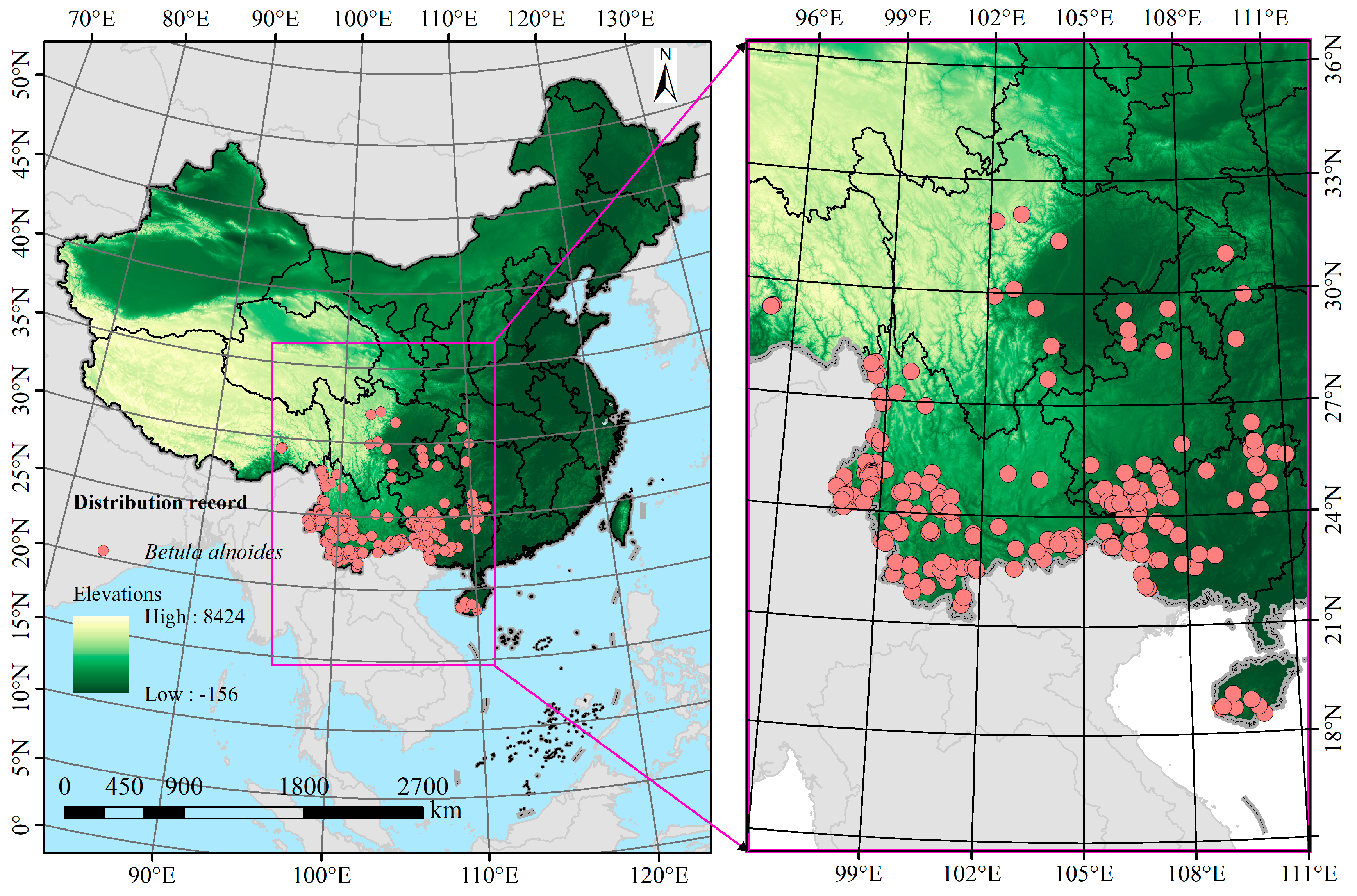 Plants 14 02539 g001