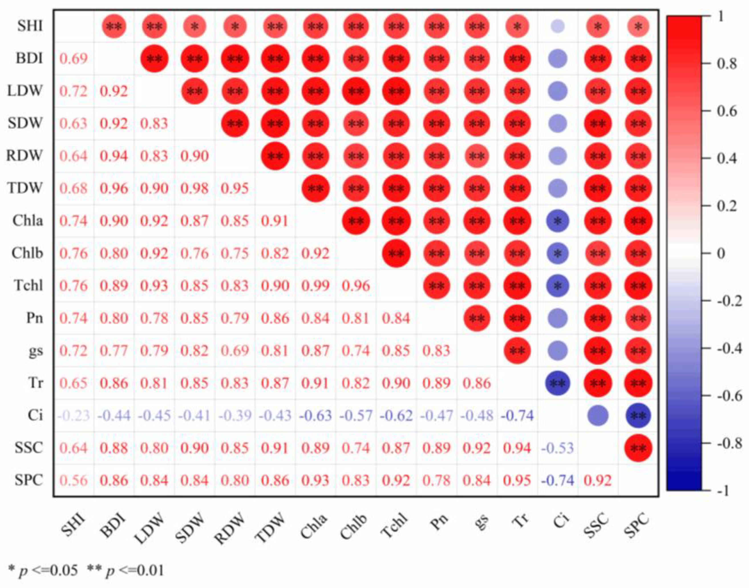 Plants 14 02545 g006