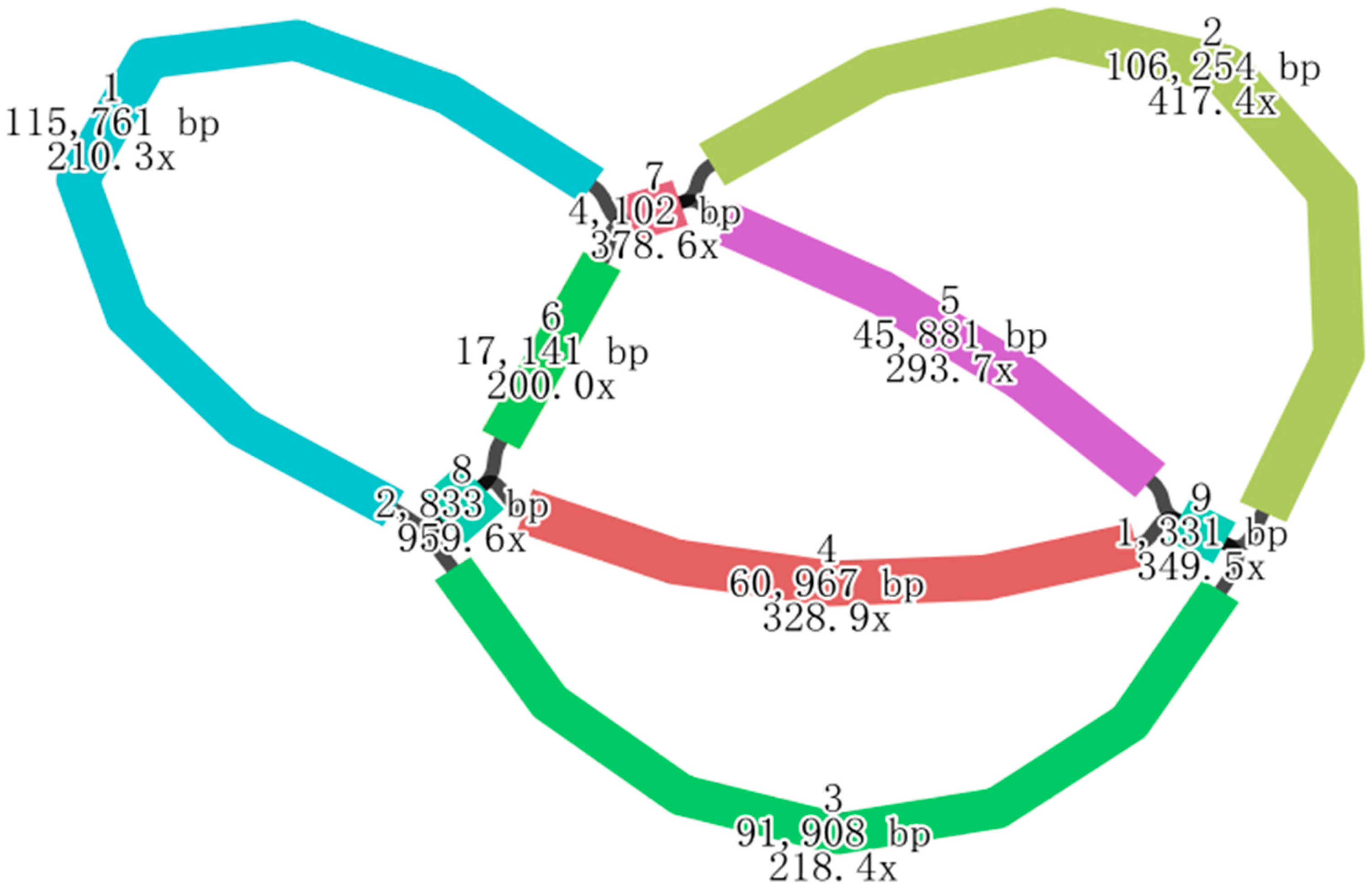 Plants 14 02547 g002 Plants 14 02547 g002