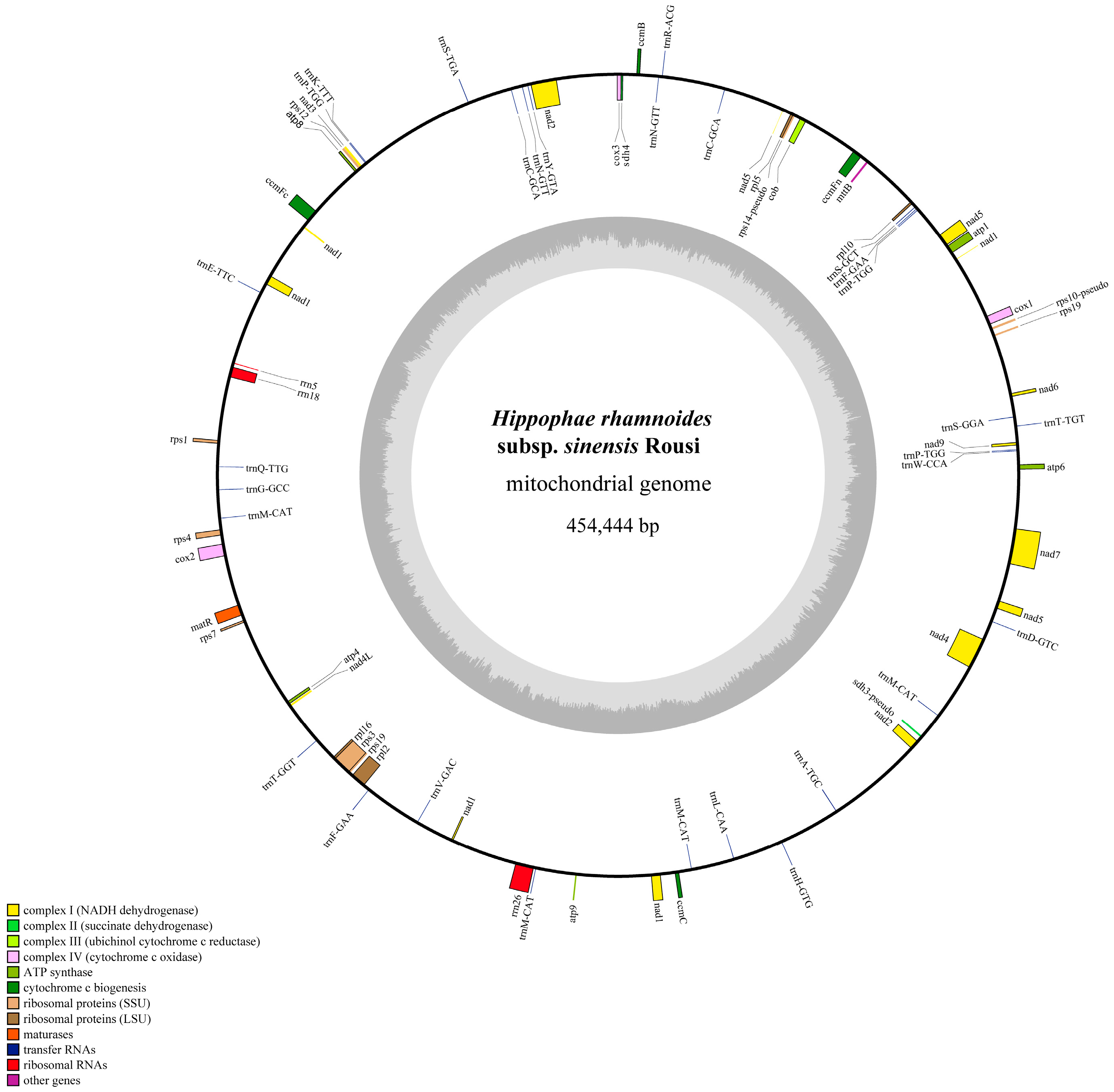 Plants 14 02547 g003 Plants 14 02547 g003