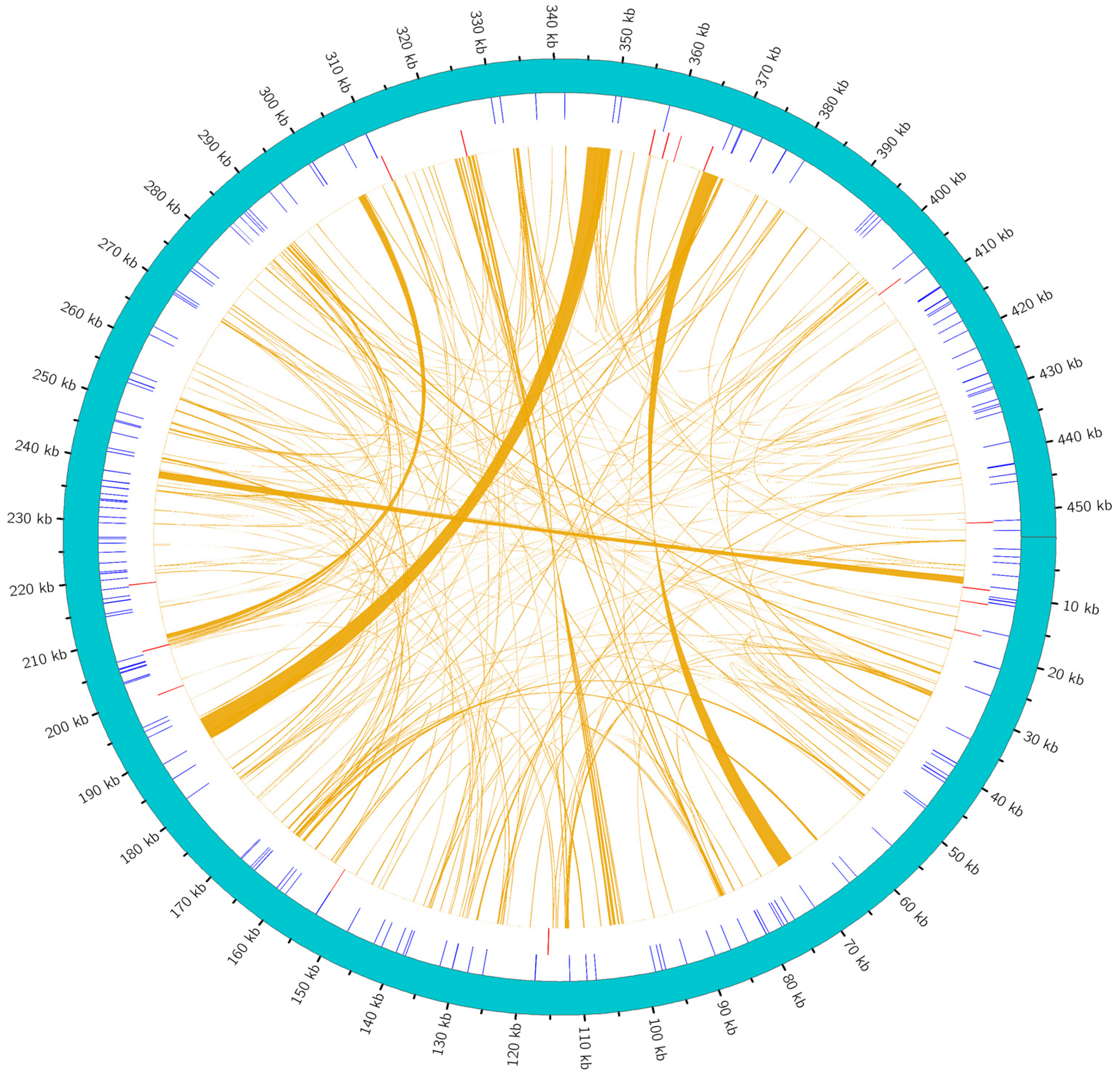 Plants 14 02547 g005 Plants 14 02547 g005