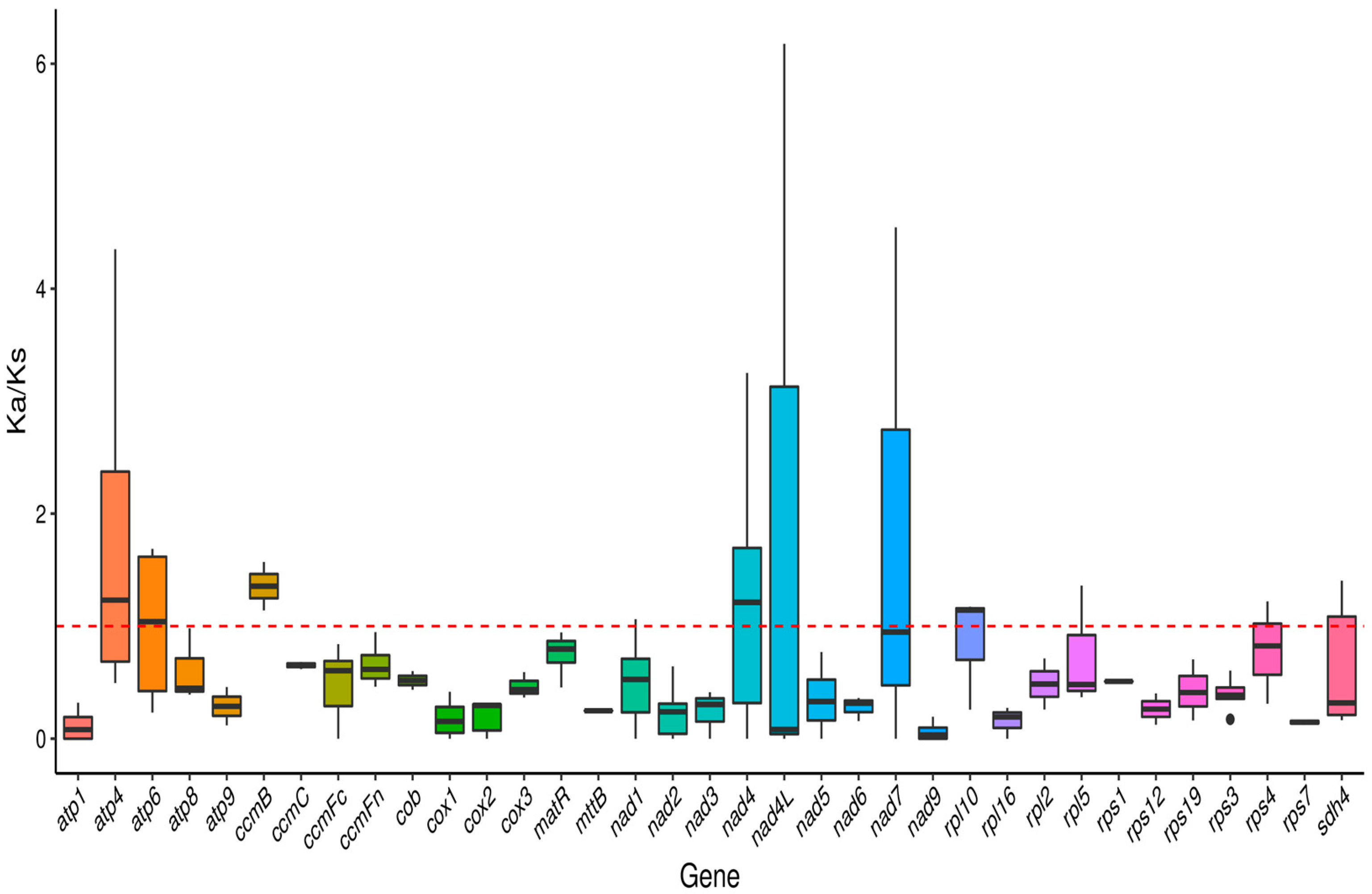 Plants 14 02547 g006 Plants 14 02547 g006