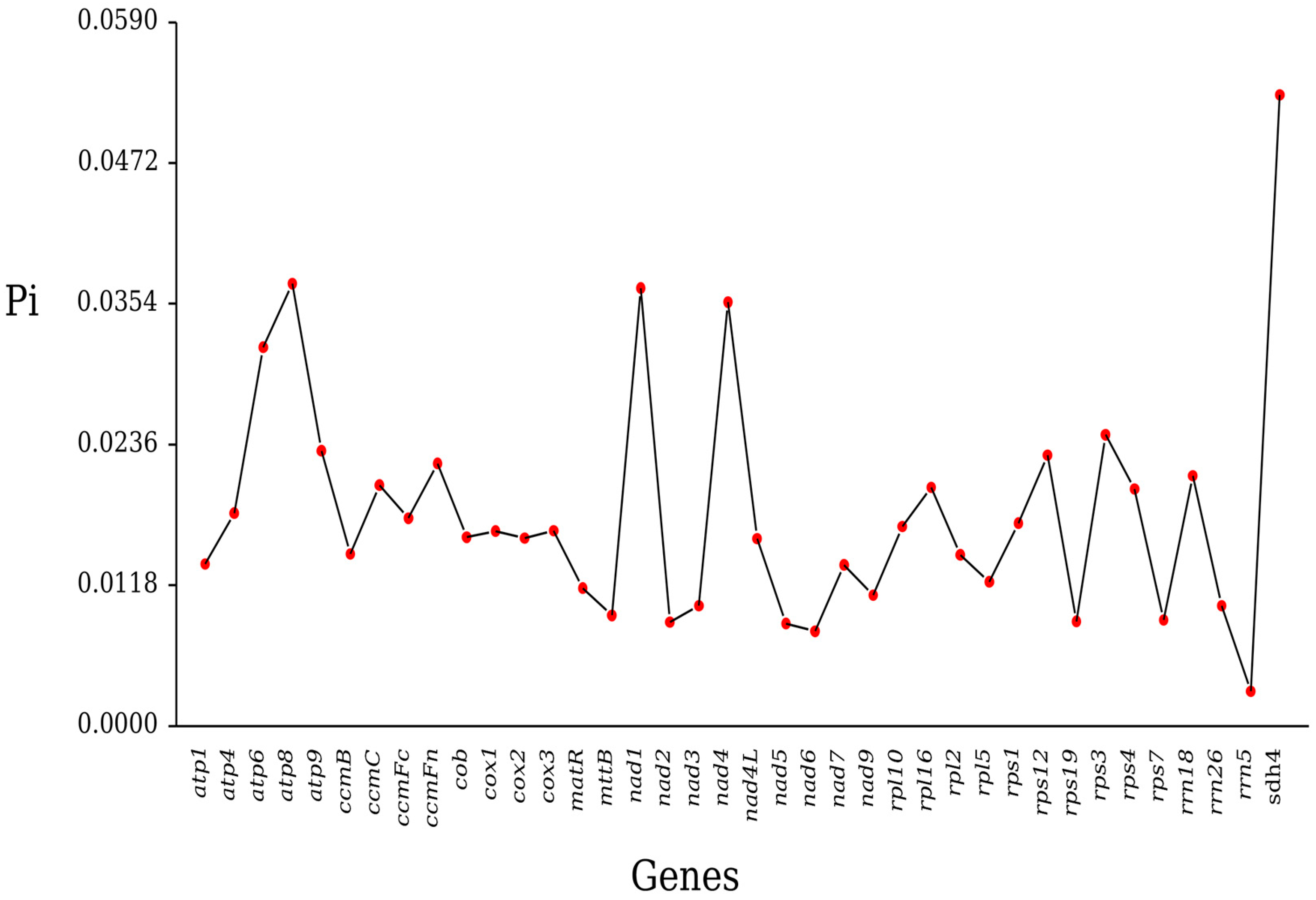 Plants 14 02547 g007 Plants 14 02547 g007