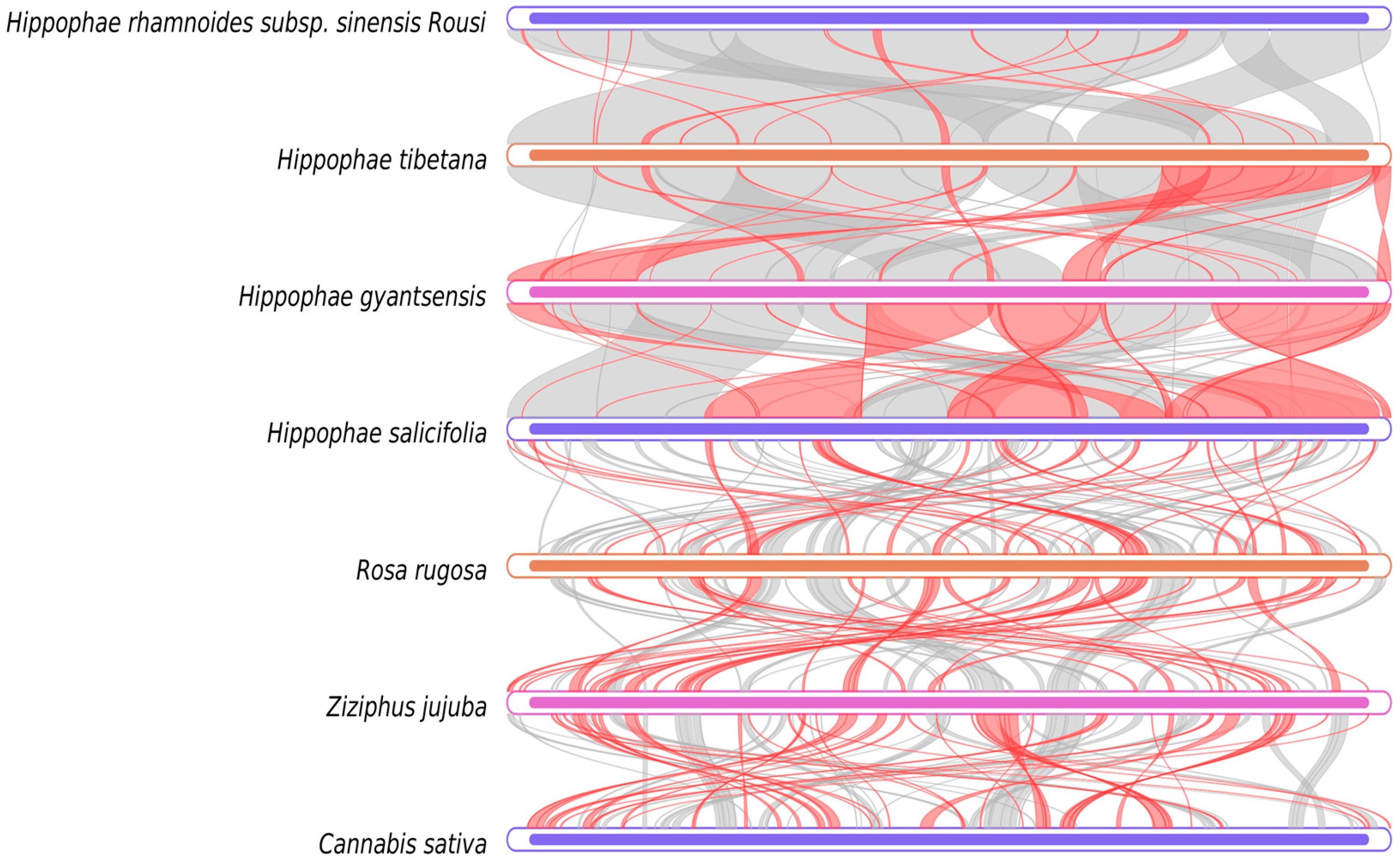 Plants 14 02547 g009 Plants 14 02547 g009