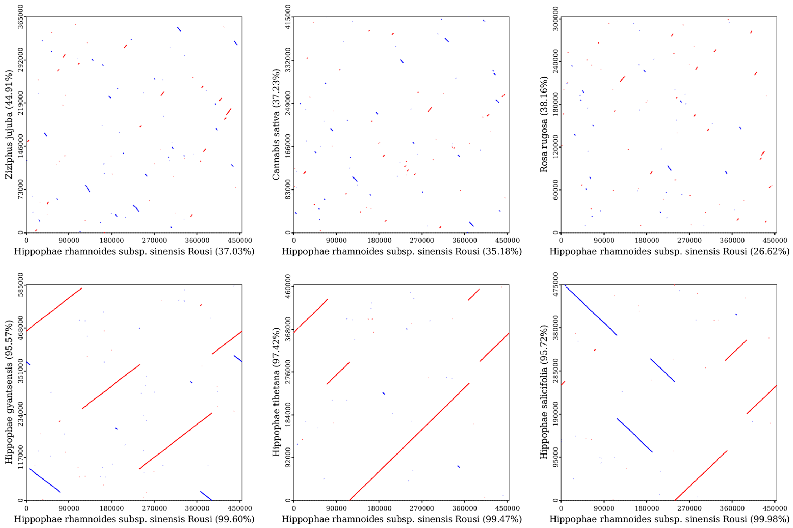Plants 14 02547 g010 Plants 14 02547 g010
