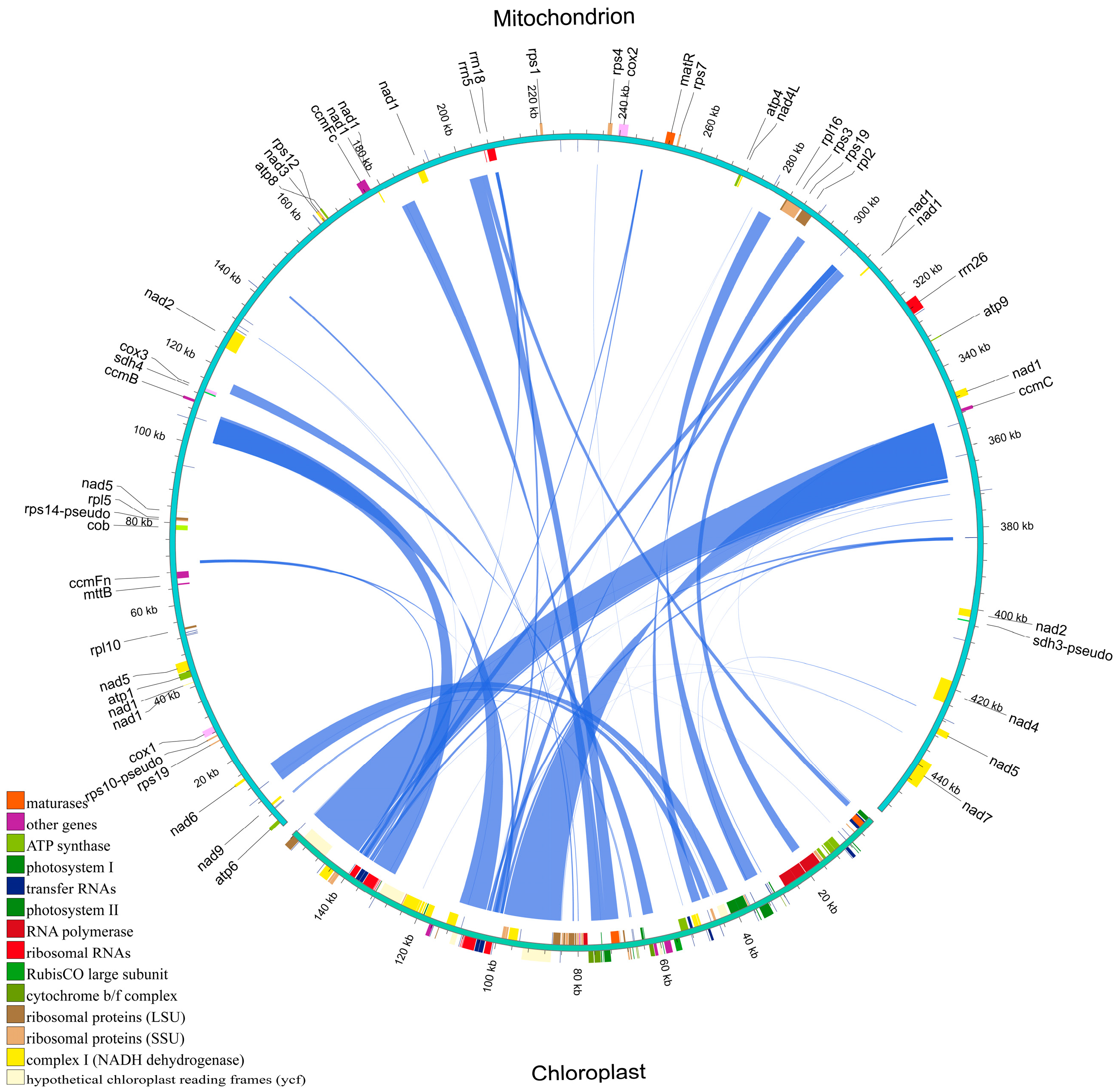 Plants 14 02547 g011 Plants 14 02547 g011