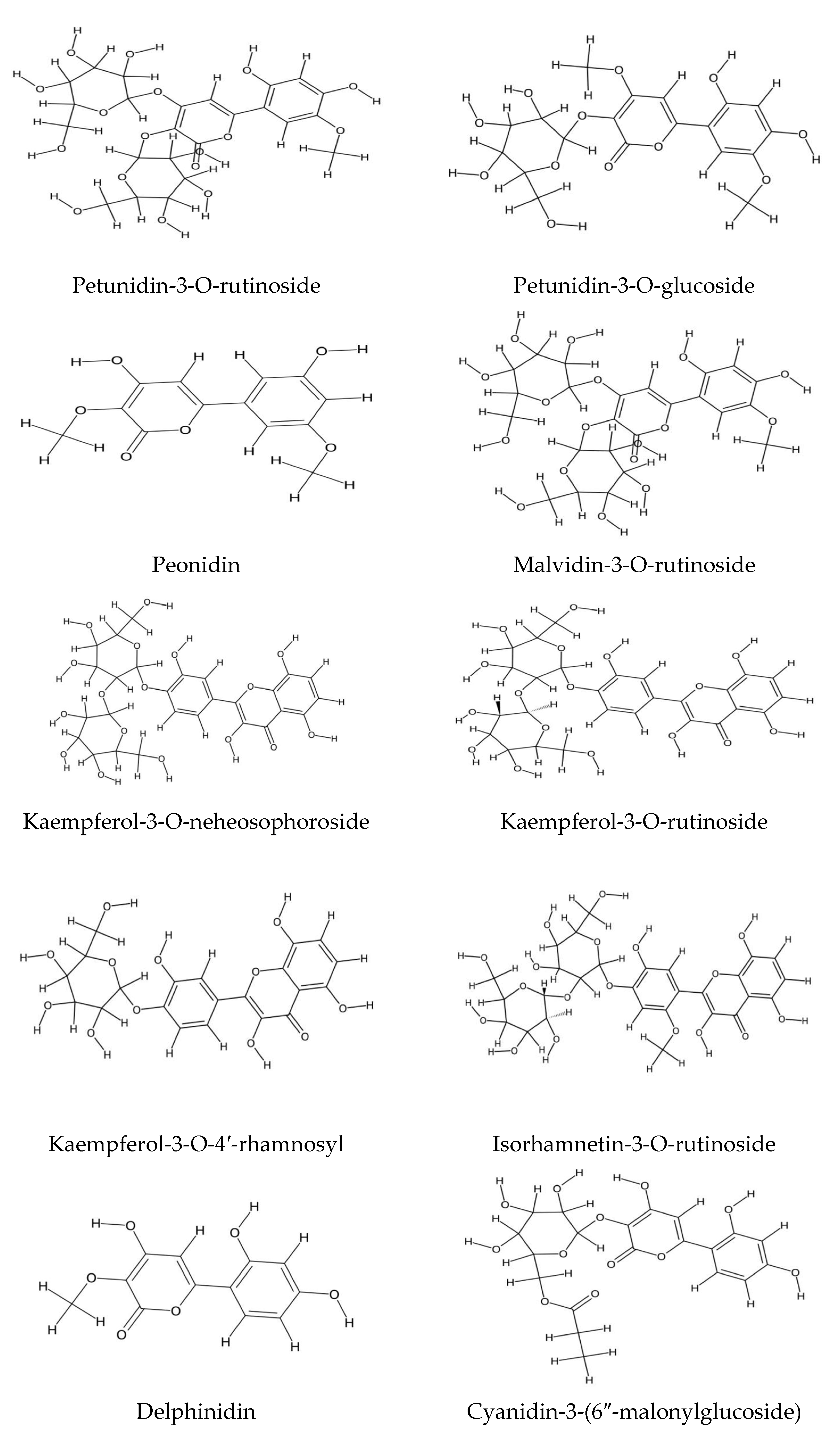 Plants 14 02548 g001b Plants 14 02548 g001b