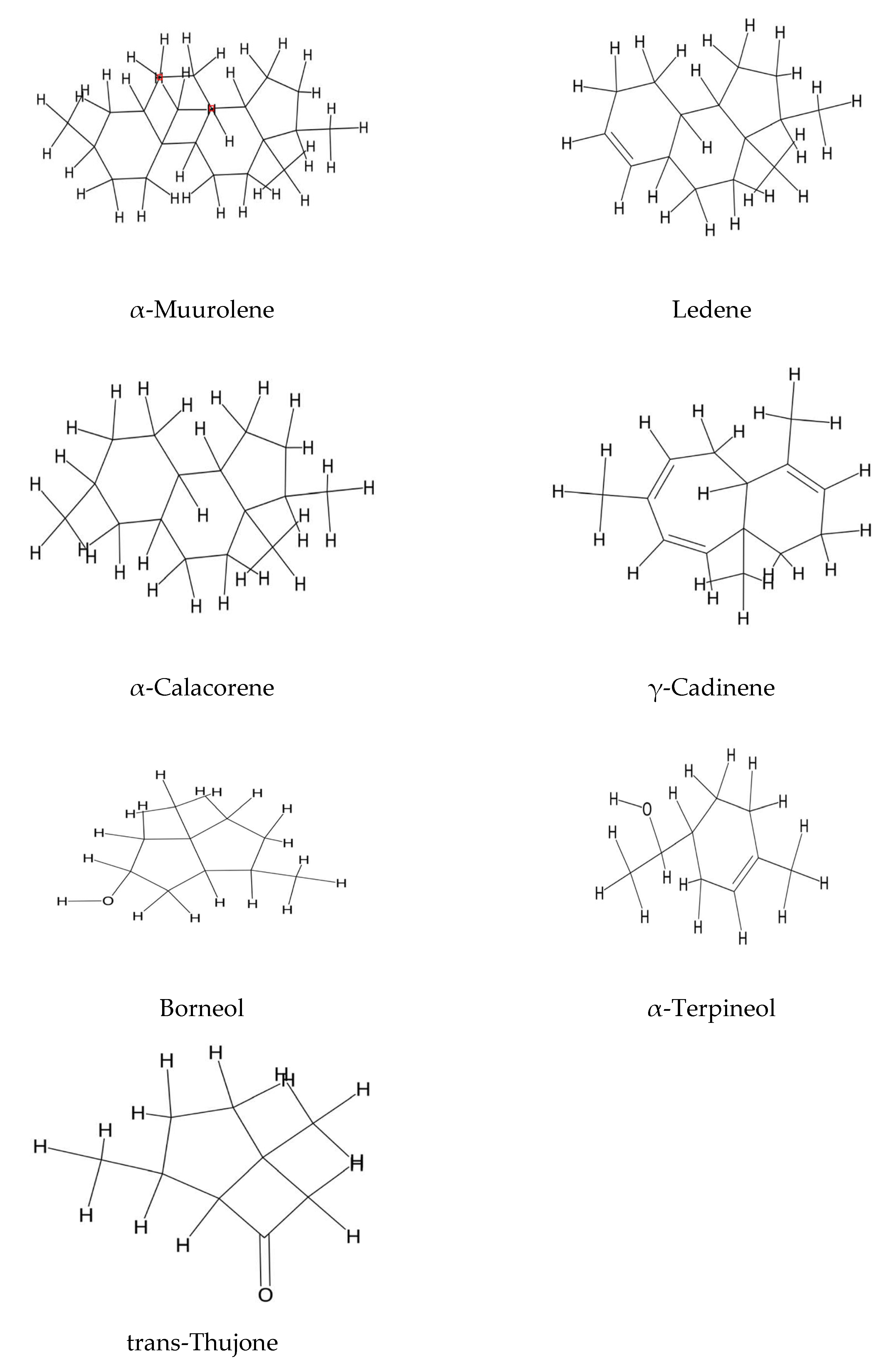 Plants 14 02548 g006b Plants 14 02548 g006b