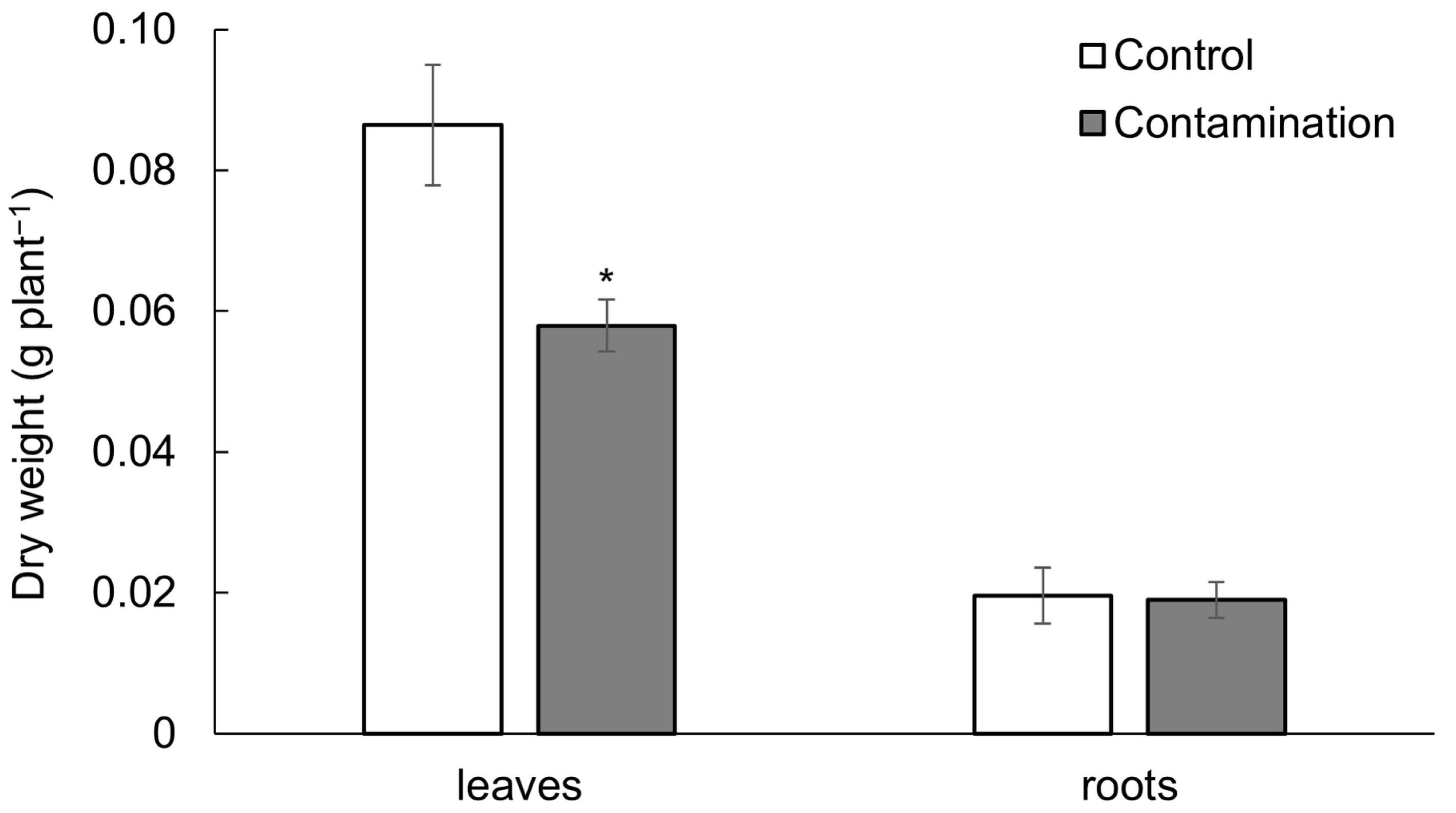 Plants 14 02554 g002 Plants 14 02554 g002