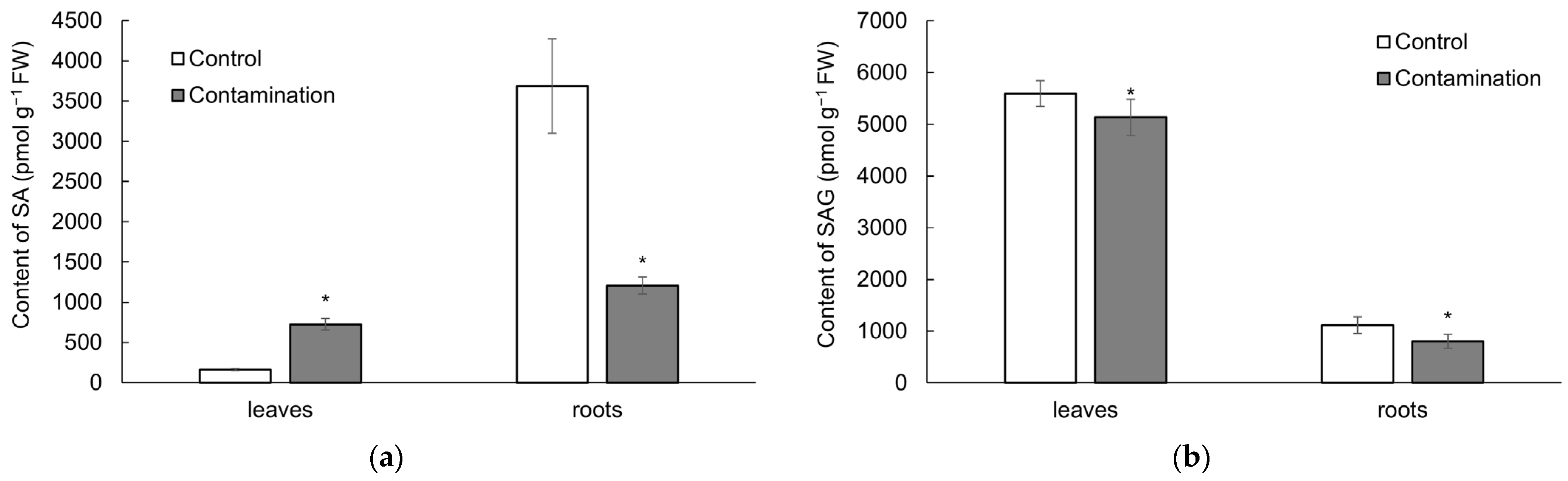 Plants 14 02554 g004 Plants 14 02554 g004