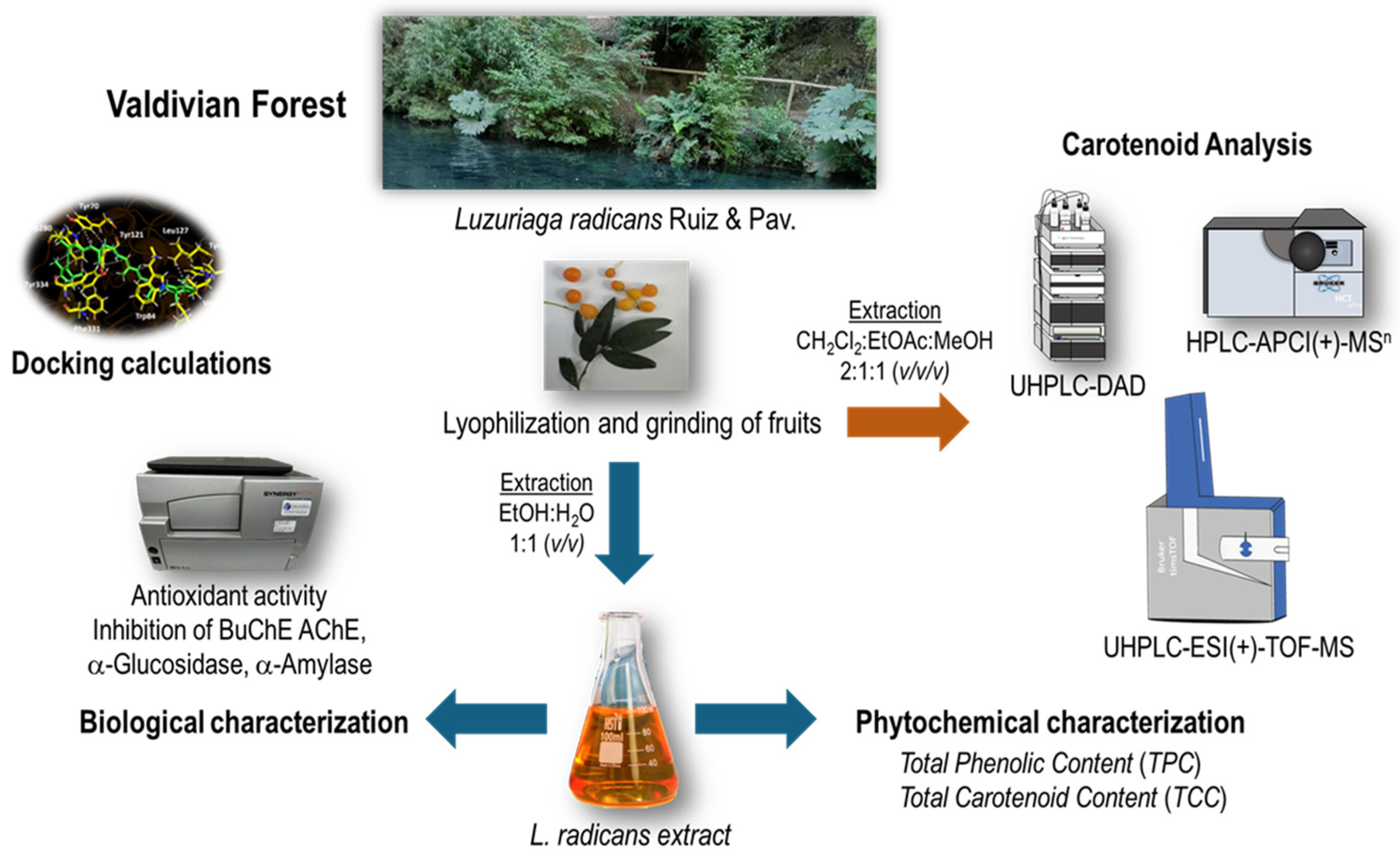 Plants 14 02555 g002 Plants 14 02555 g002