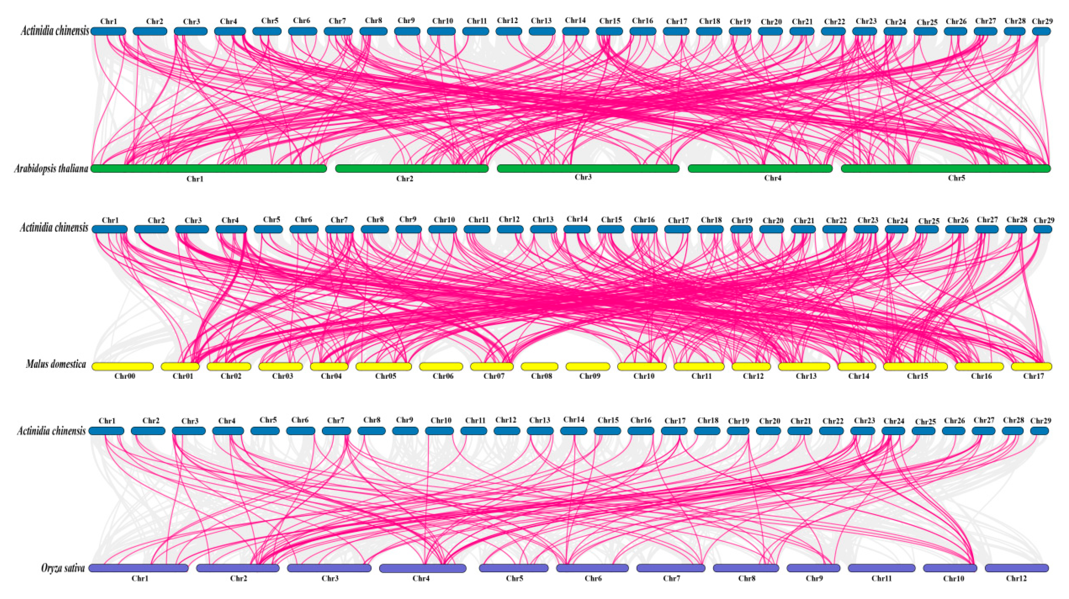 Plants 14 02560 g006