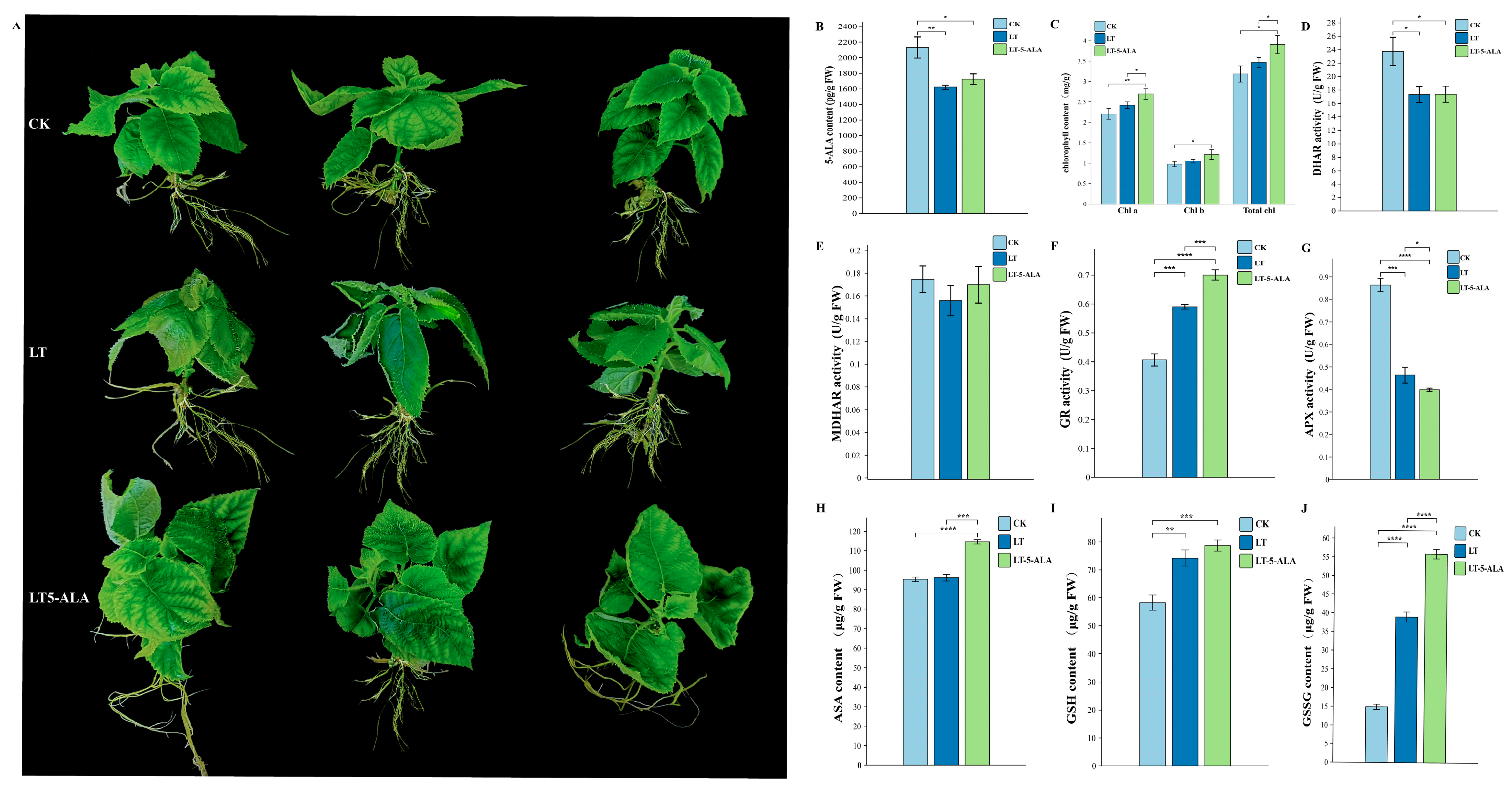 Plants 14 02560 g008