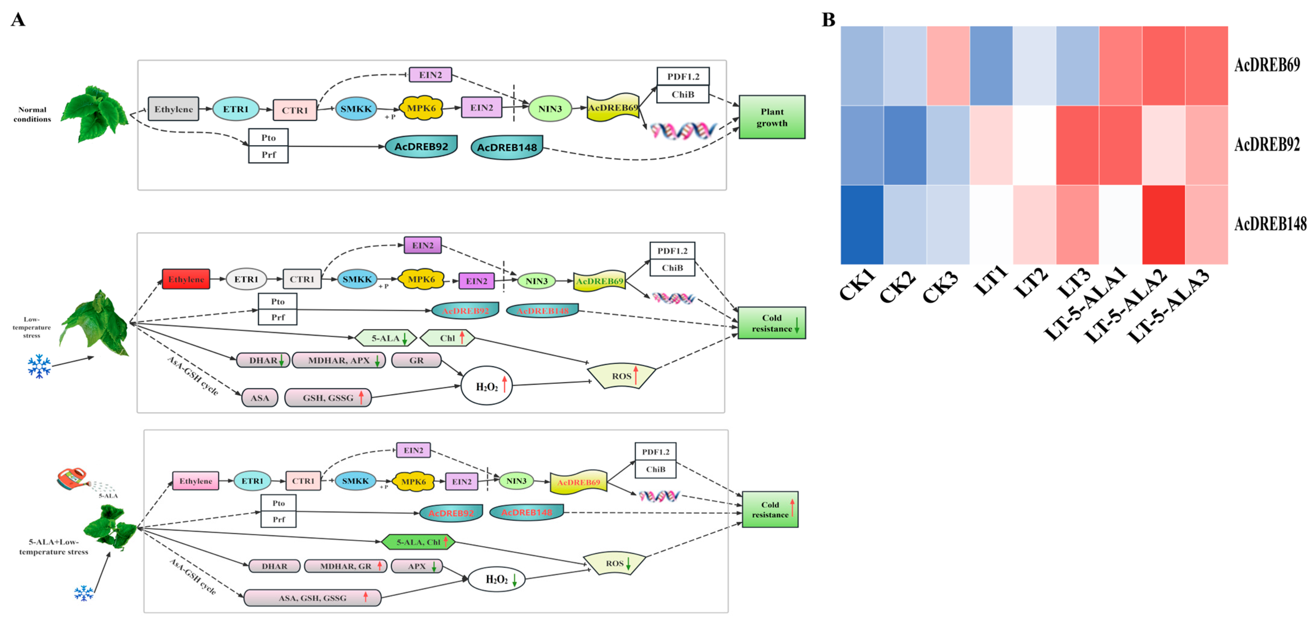 Plants 14 02560 g011