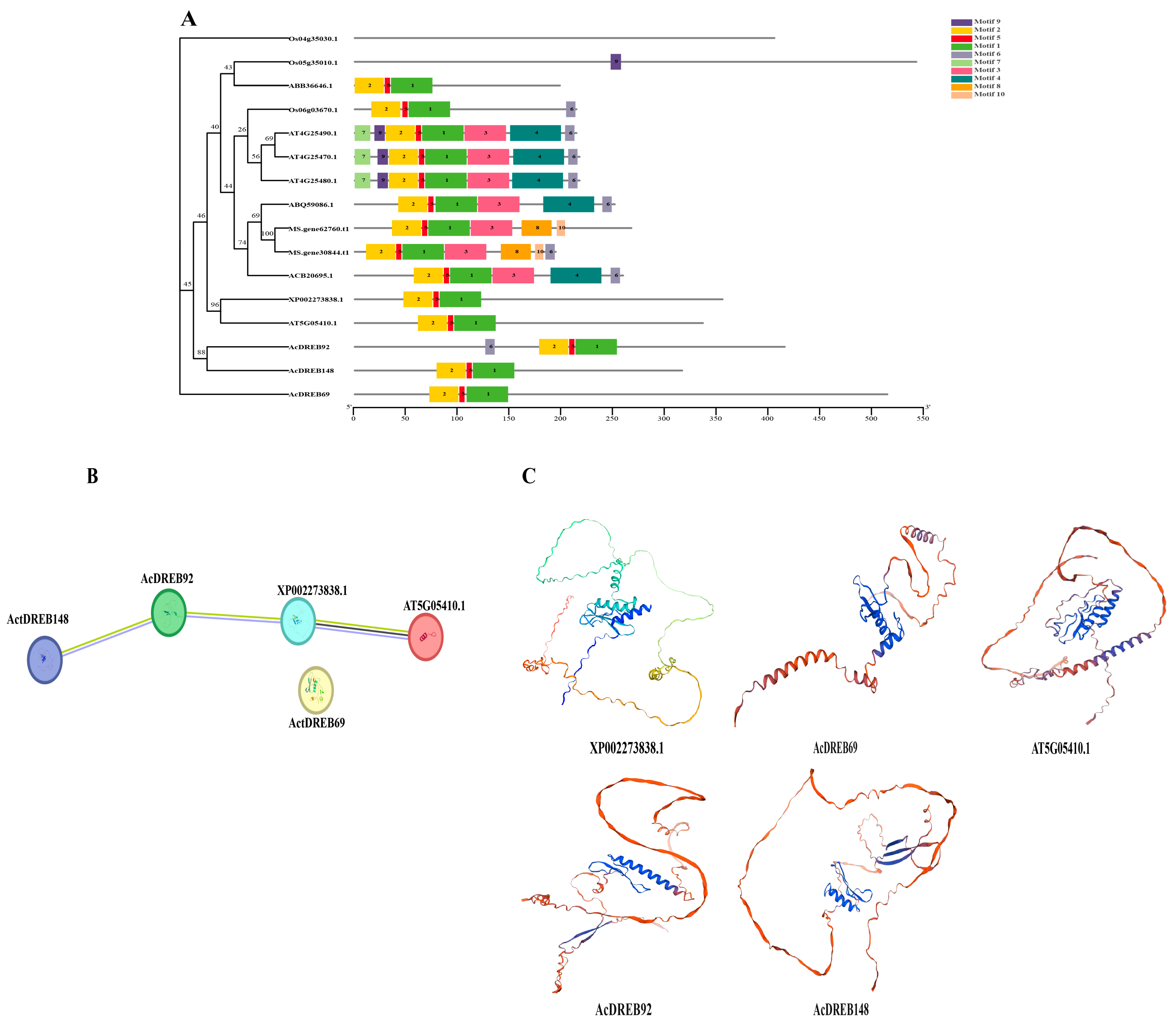 Plants 14 02560 g012