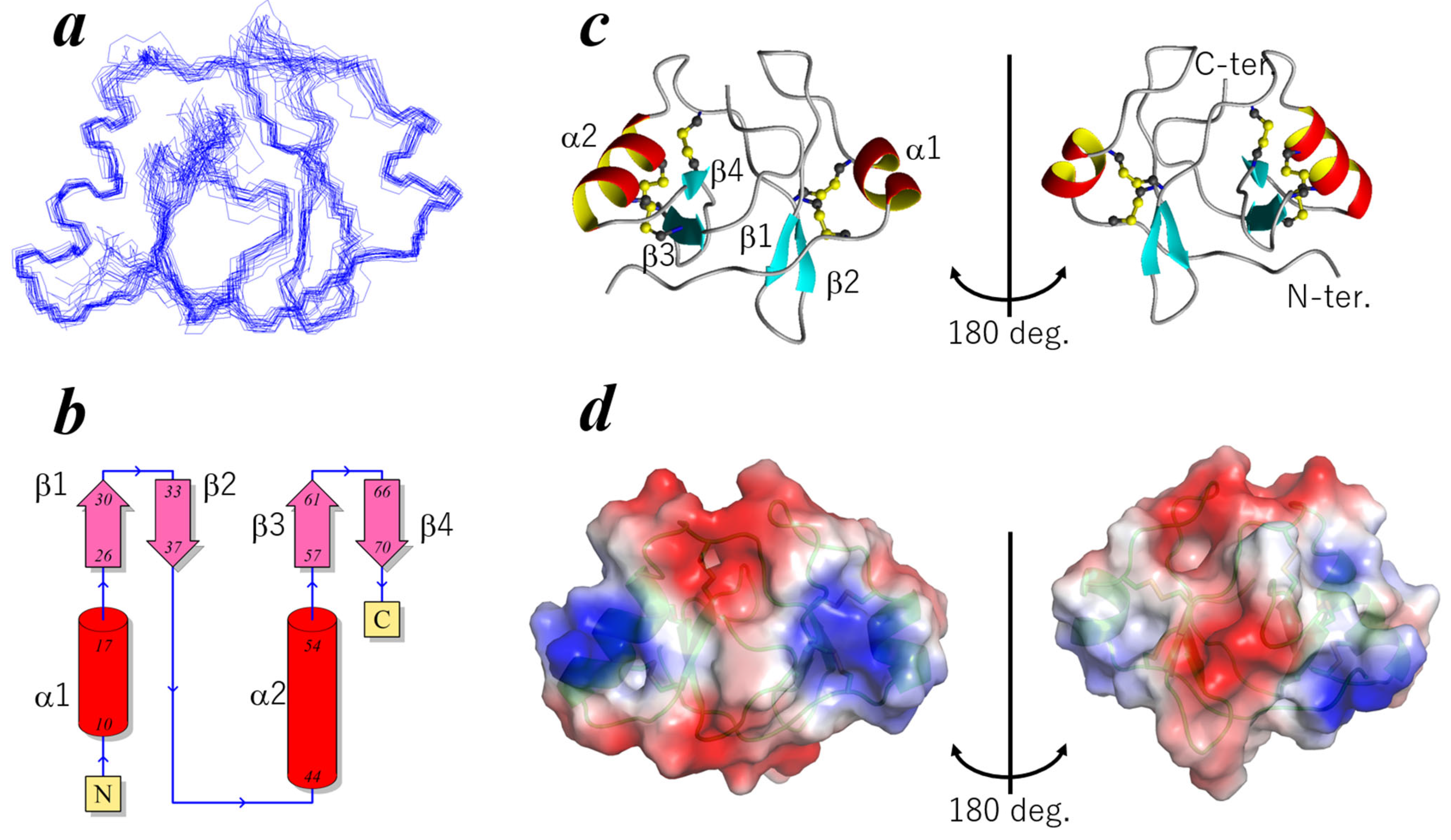 Plants 14 02562 g002