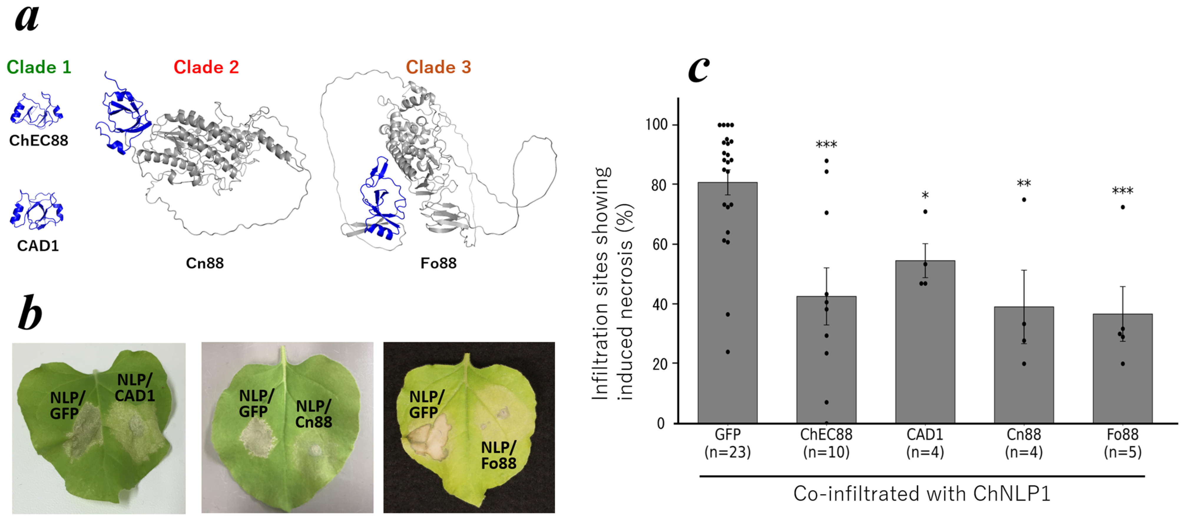 Plants 14 02562 g004